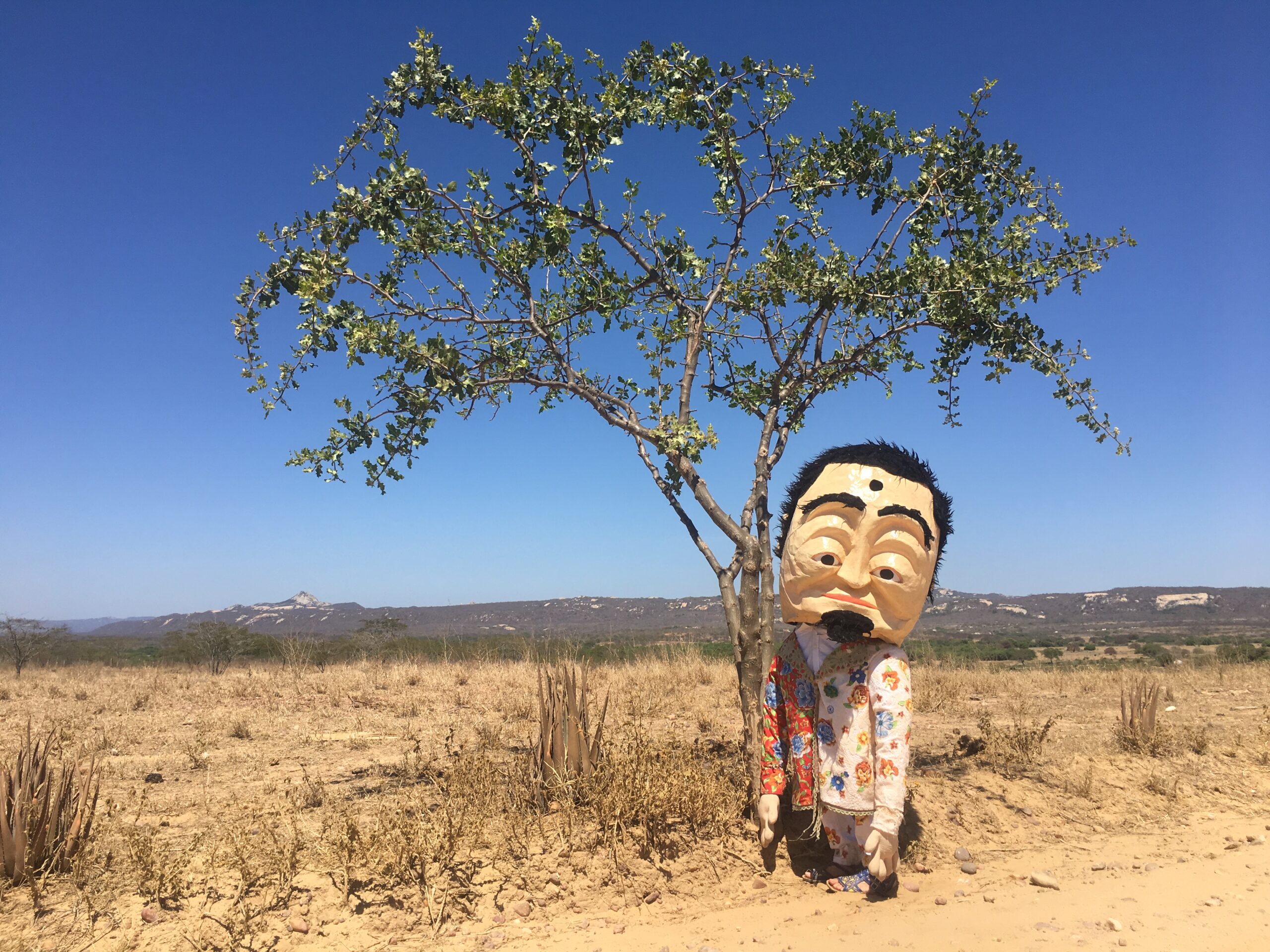 Maria Eugênia Tita presents “Cabeção pelo Mundo” and “Pássará” in Rio de Janeiro