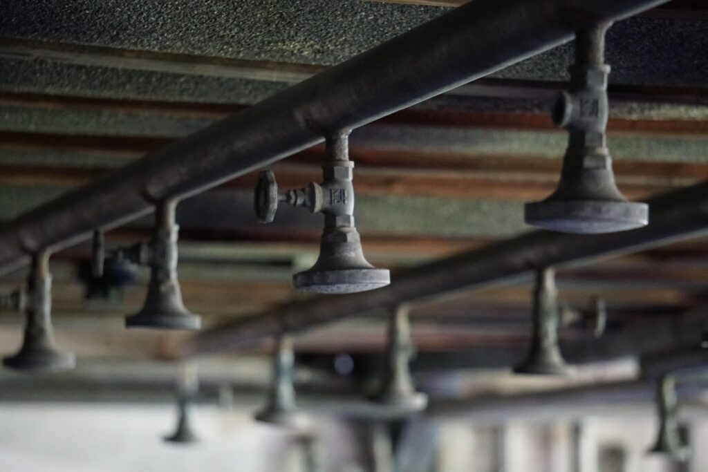 Galeria Kovak & Vieira abre “Herança da vida” com fotos da Marcha da Vida