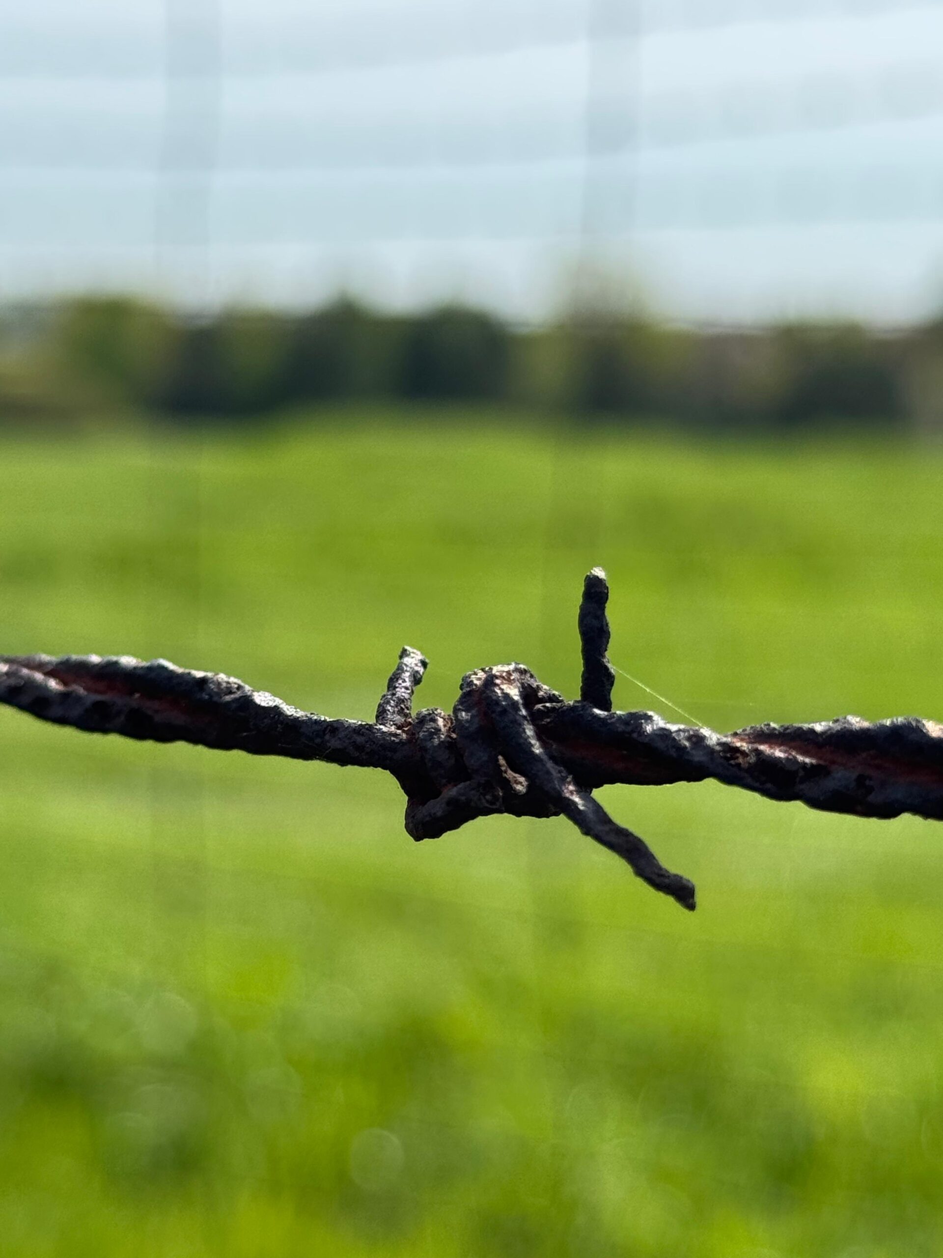 Galeria Kovak & Vieira abre “Herança da vida” com fotos da Marcha da Vida