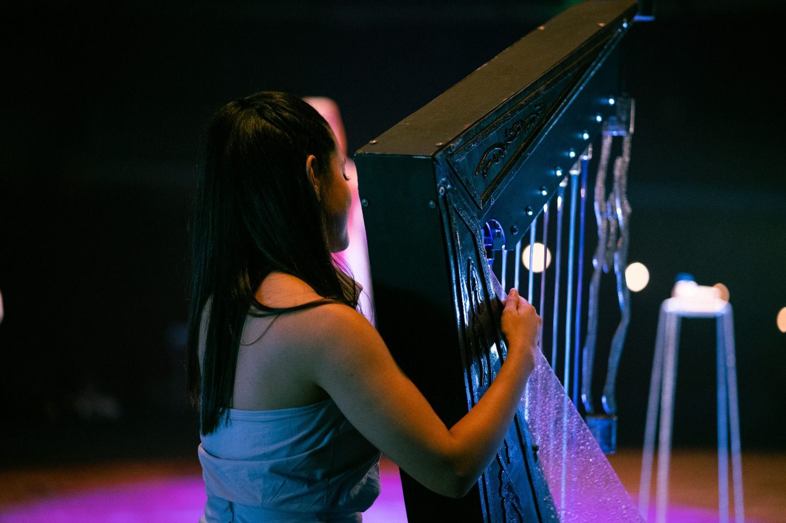 Parque Nacional do Iguaçu recebe espetáculo natalino com orquestra de água