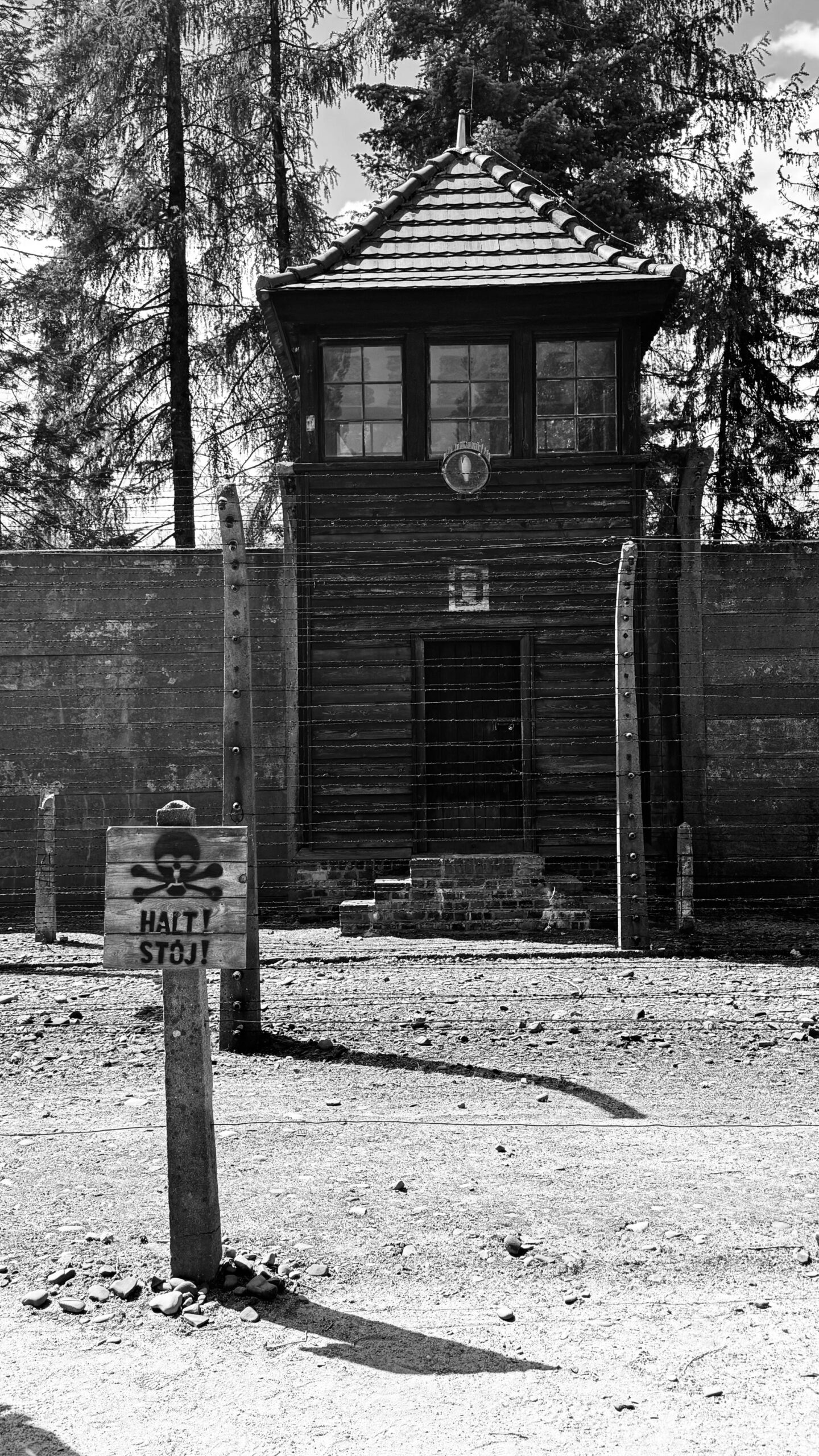 Galeria Kovak & Vieira abre “Herança da vida” com fotos da Marcha da Vida