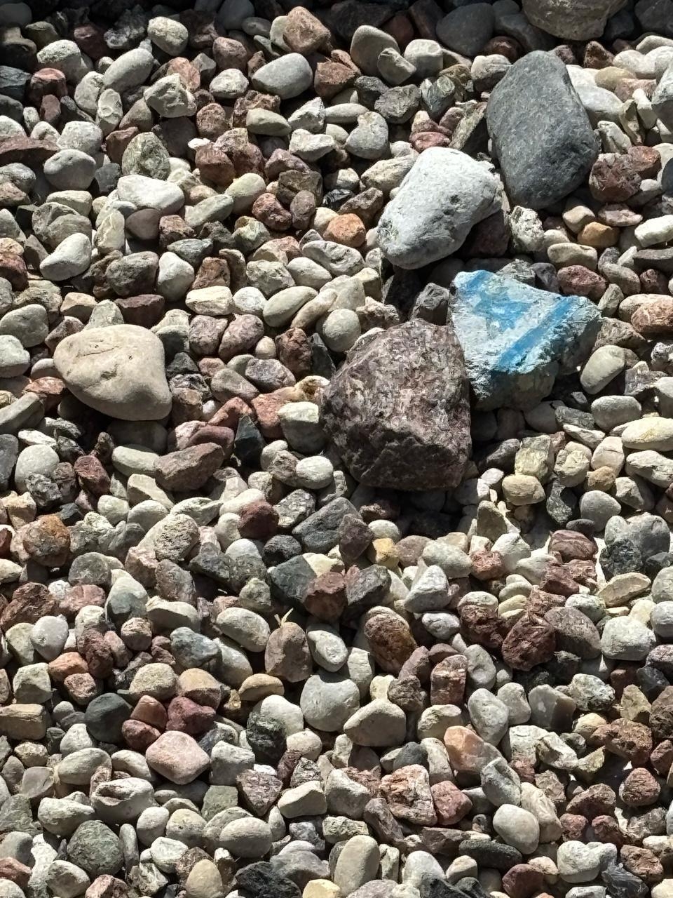 Galeria Kovak & Vieira abre “Herança da vida” com fotos da Marcha da Vida