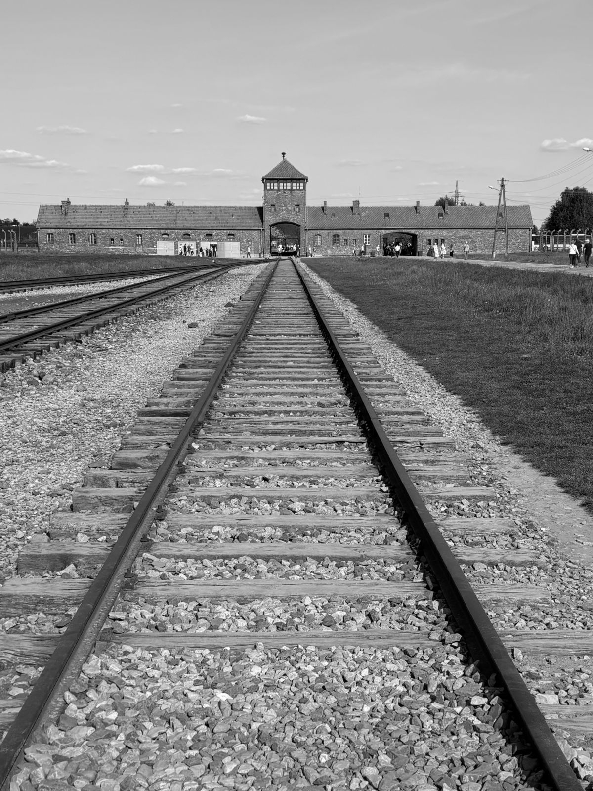 Galeria Kovak & Vieira abre “Herança da vida” com fotos da Marcha da Vida