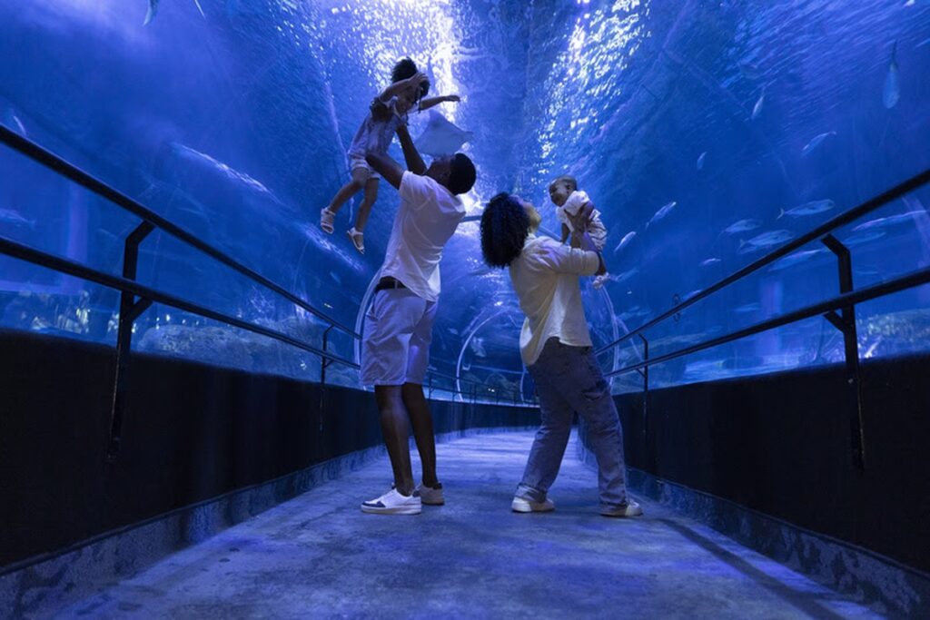 AquaRio offers Black Friday ticket for R$ 79