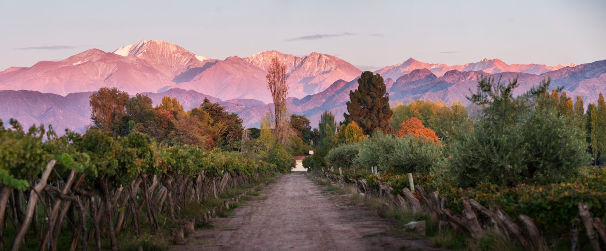 Kaiken named one of the world’s 50 best vineyards by The World’s 50 Best Vineyards