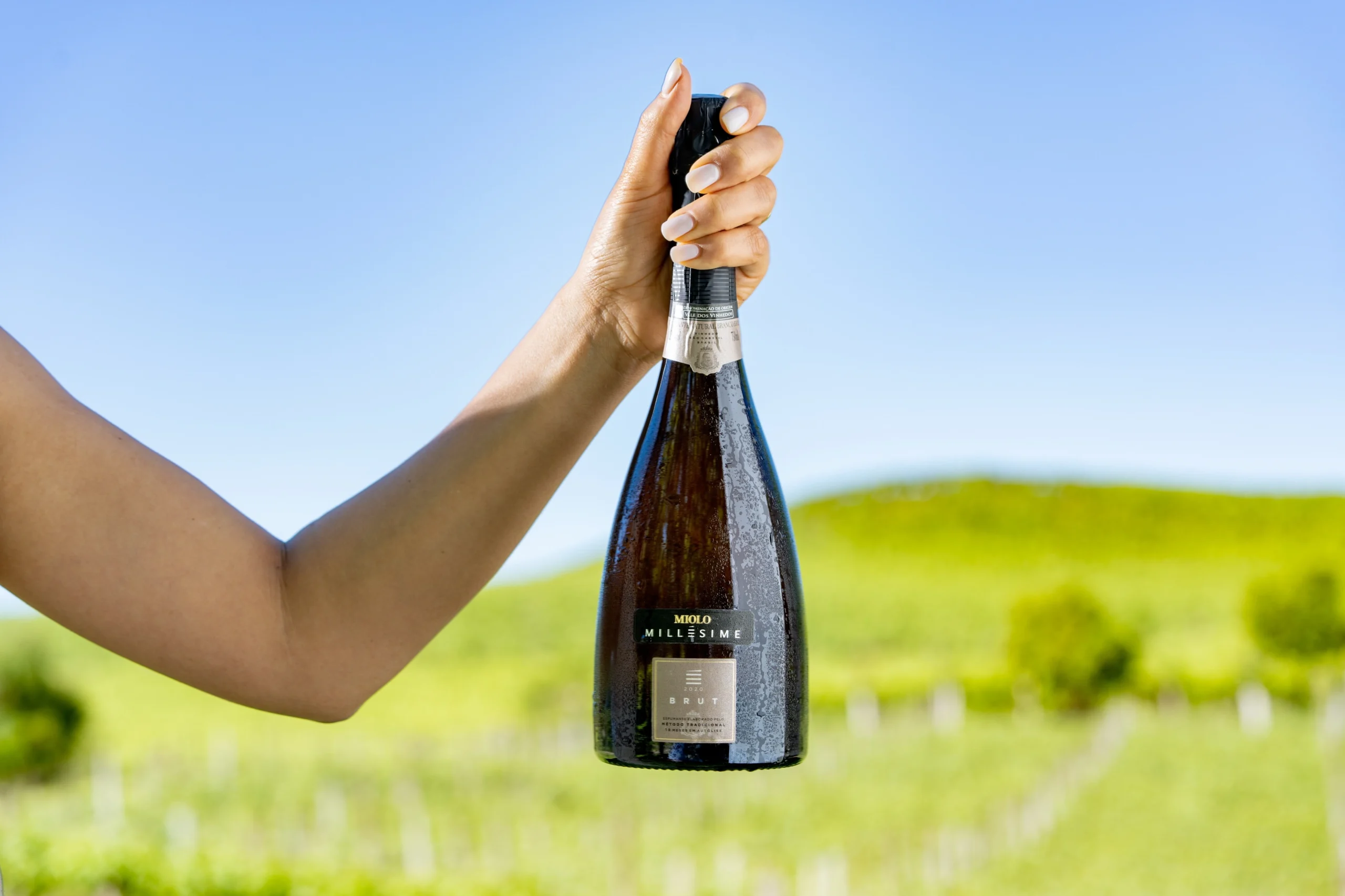 Miolo crava 92 pontos e lidera destaques no Descorchados