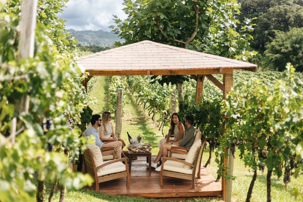 Bangalôs nos vinhedos da Larentis estreiam na Vindima 2026