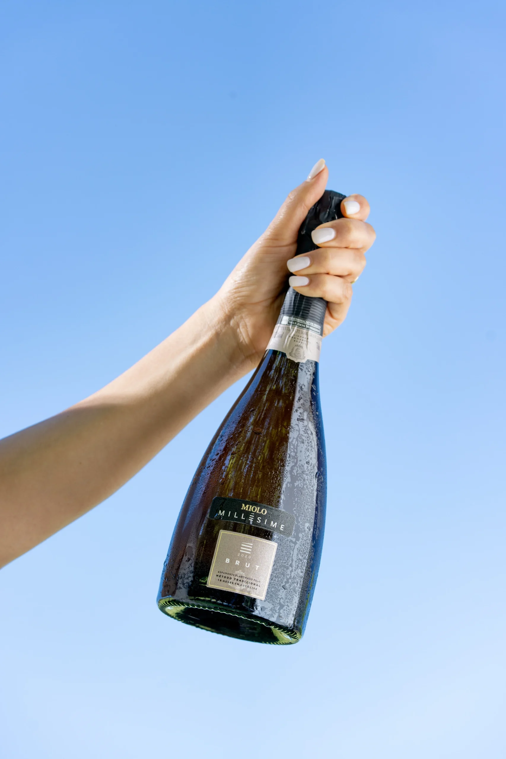 Miolo crava 92 pontos e lidera destaques no Descorchados