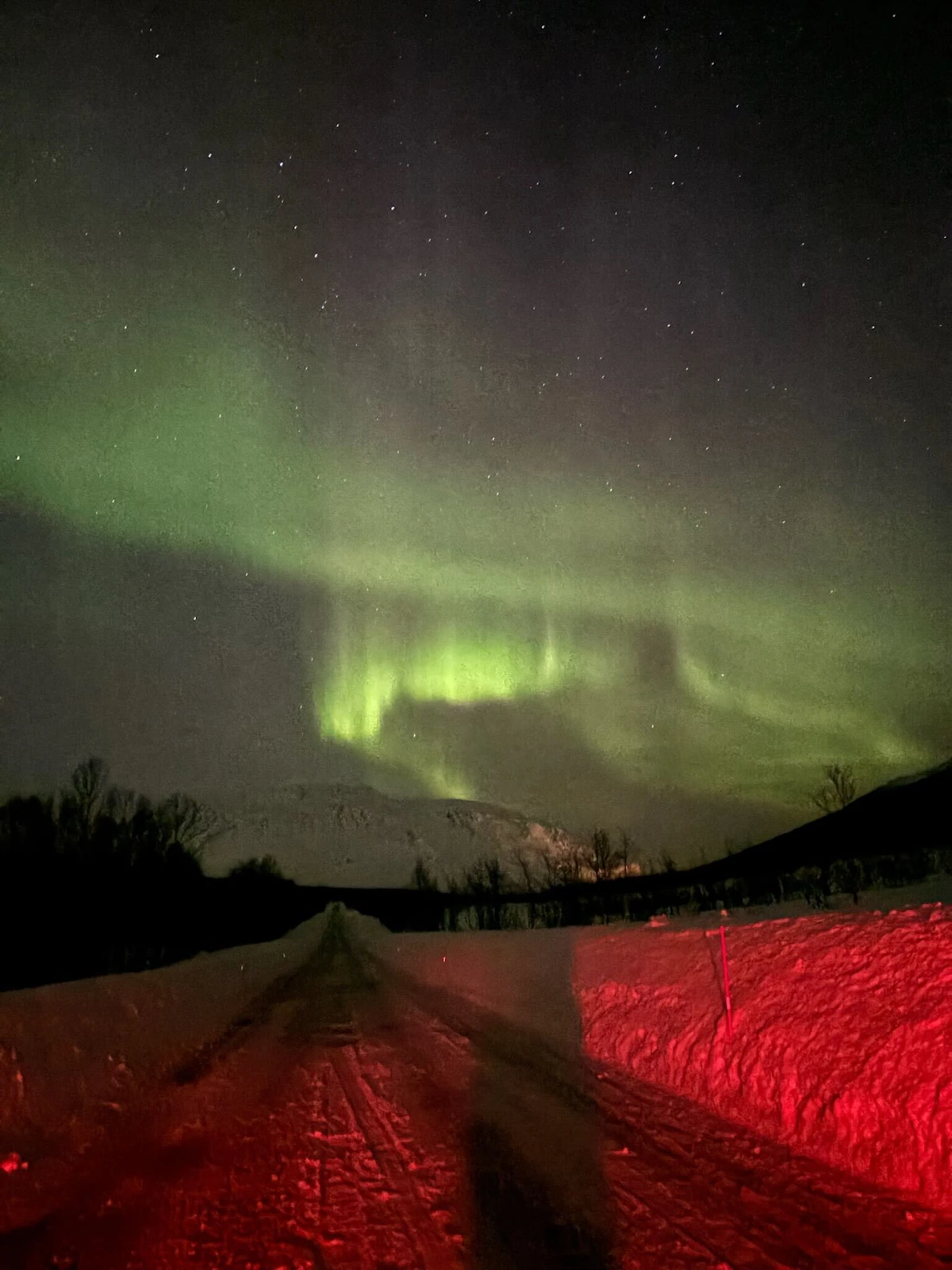 Aurora Boreal 2026: Reykjavik lidera buscas no Brasil