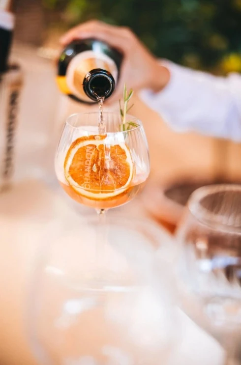 Garden Spritz Festival Chandon celebra a vindima no jardim 2 Garden Spritz Festival Chandon celebra a vindima no jardim