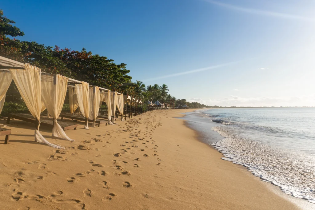 Carnaporto 2026: ¡Ivete Sangalo enciende post-Carnaval!