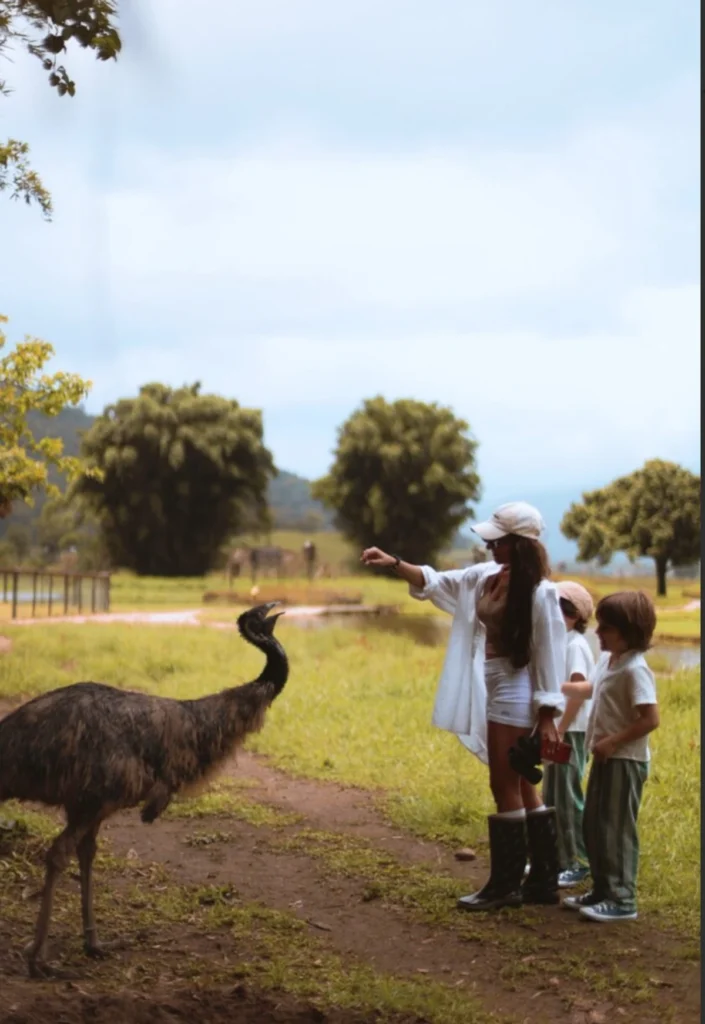 Feriadões 2026: Portobello Resort vê alta procura