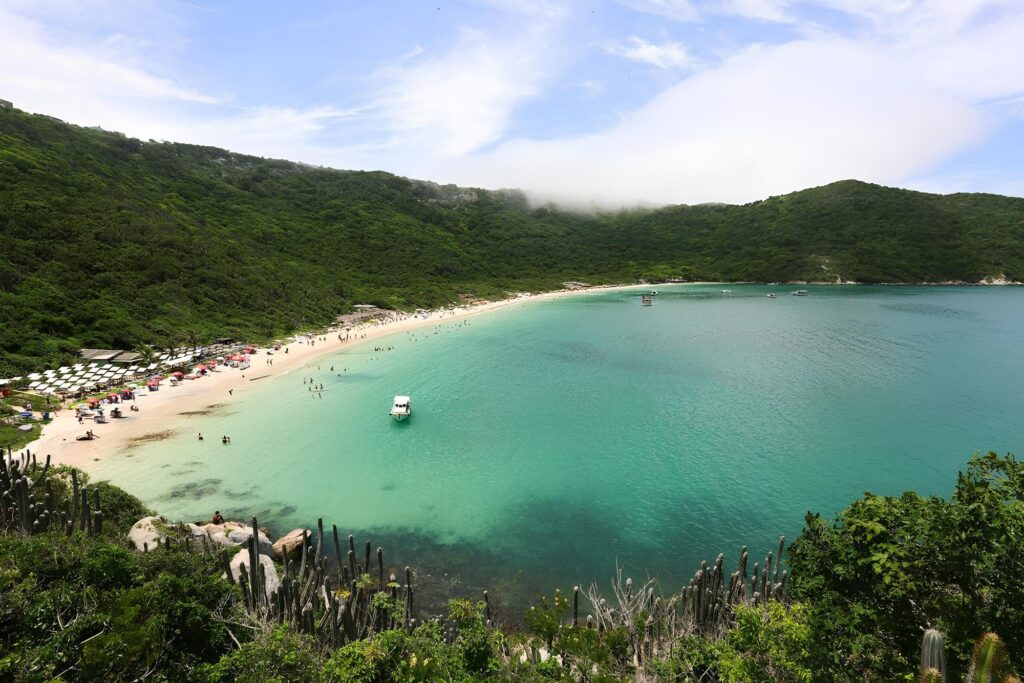 Oyster Path: From Sea to Sustainable Table