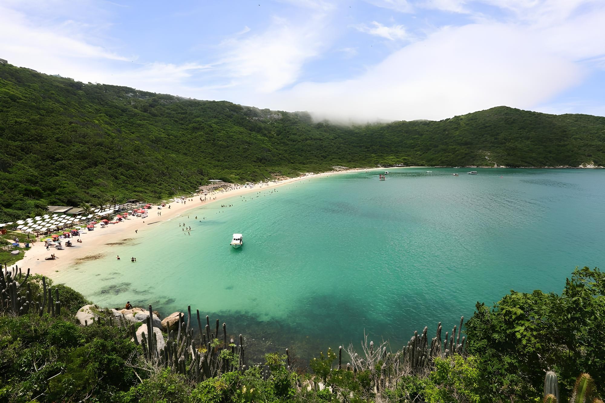 Oyster Path: From Sea to Sustainable Table