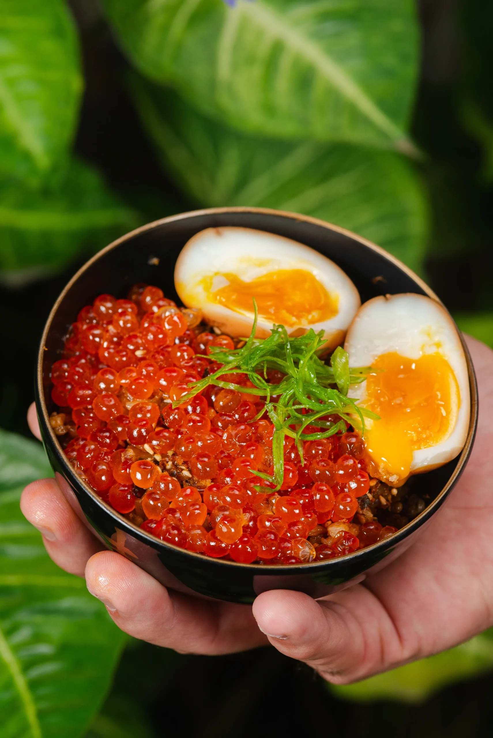 Curadoria & Bar Saudade faz 1 ano com Lasai e Bar da Gema