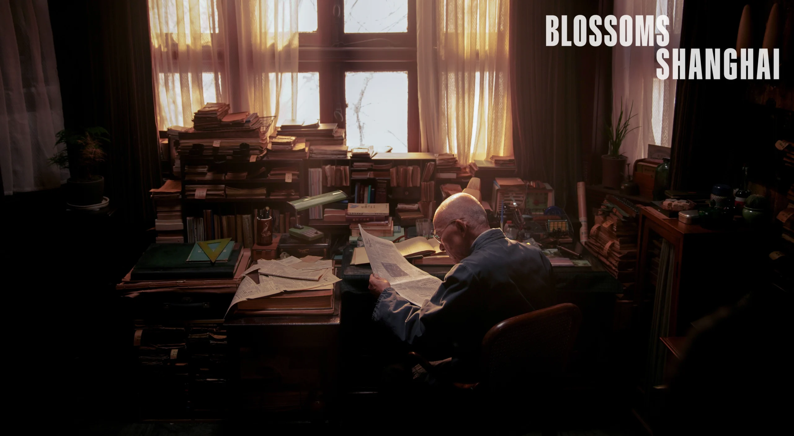 Wong Kar-wai na TV: Blossoms Shanghai na MUBI