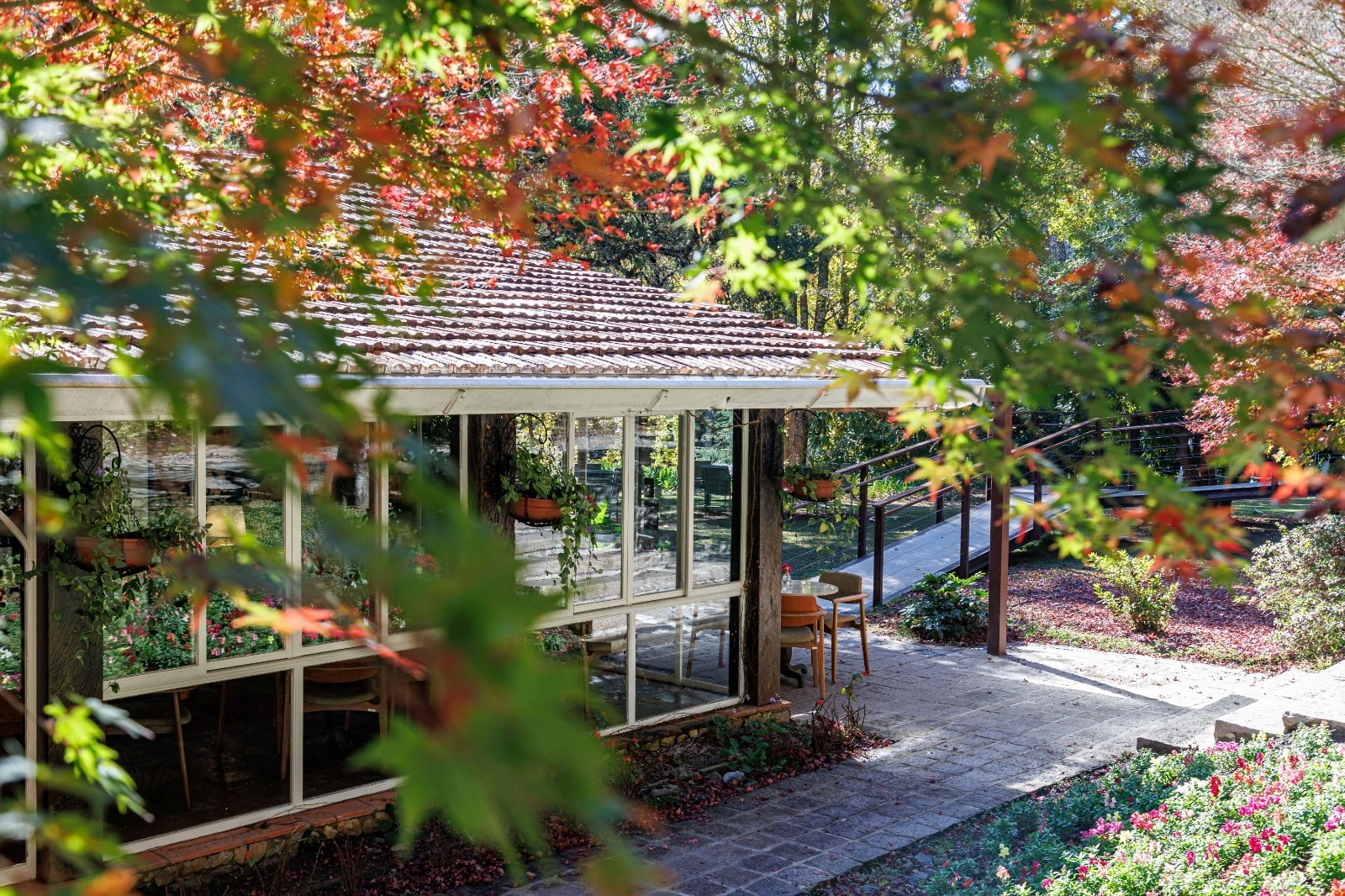 Carnaval gourmet na Casa Bambuí