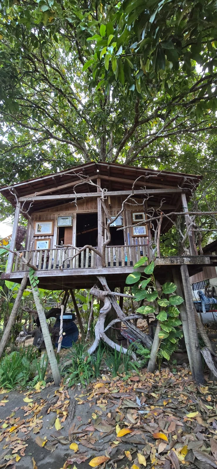 Santuário dos Orixás: art and axé in Bahia’s interior