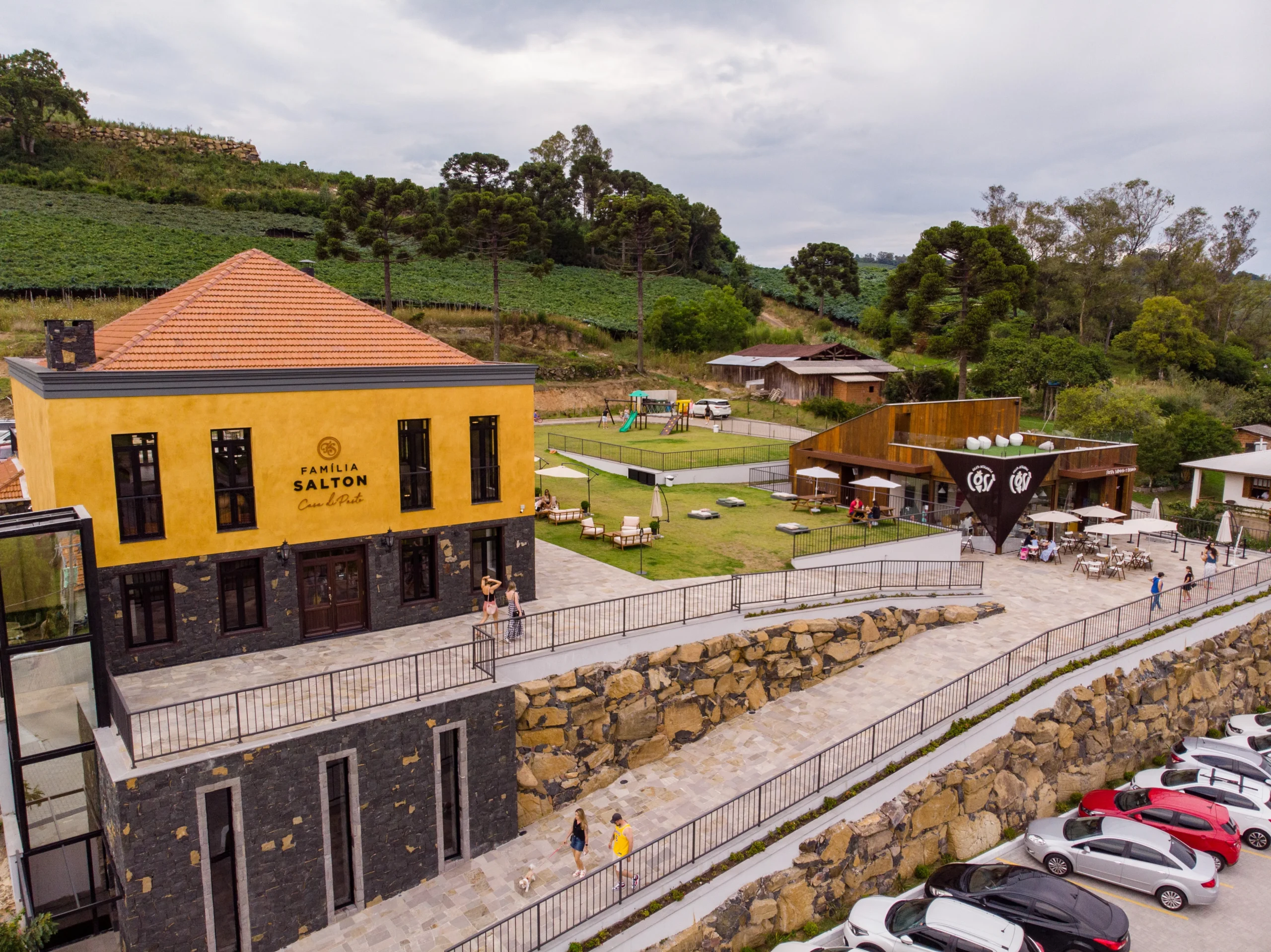 Vindima viva: uvas chegam à Salton