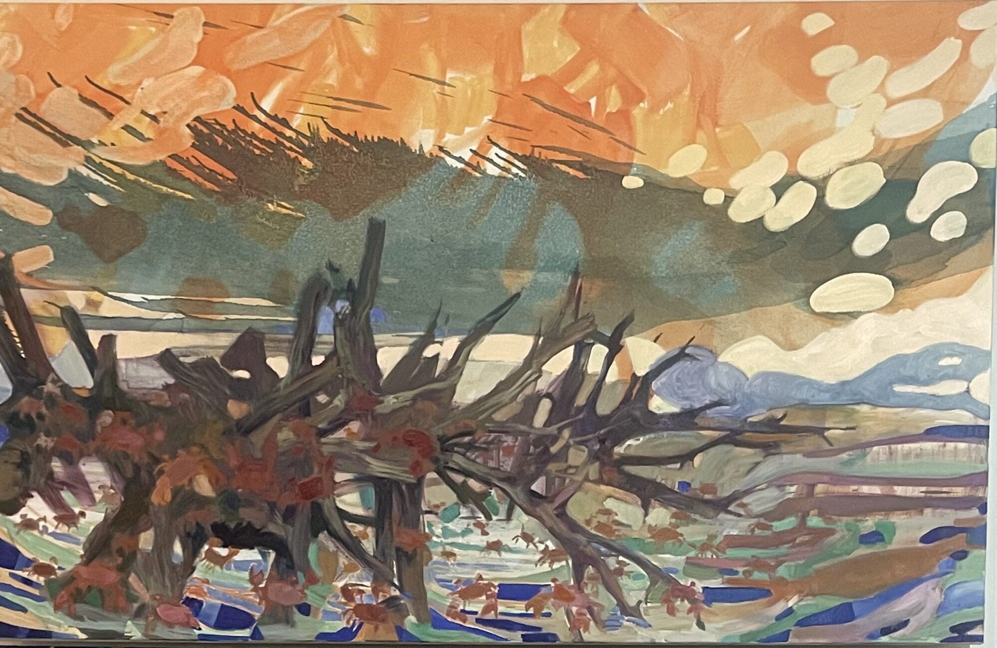 Celaine Refosco turns flying rivers into immersive art at MASC