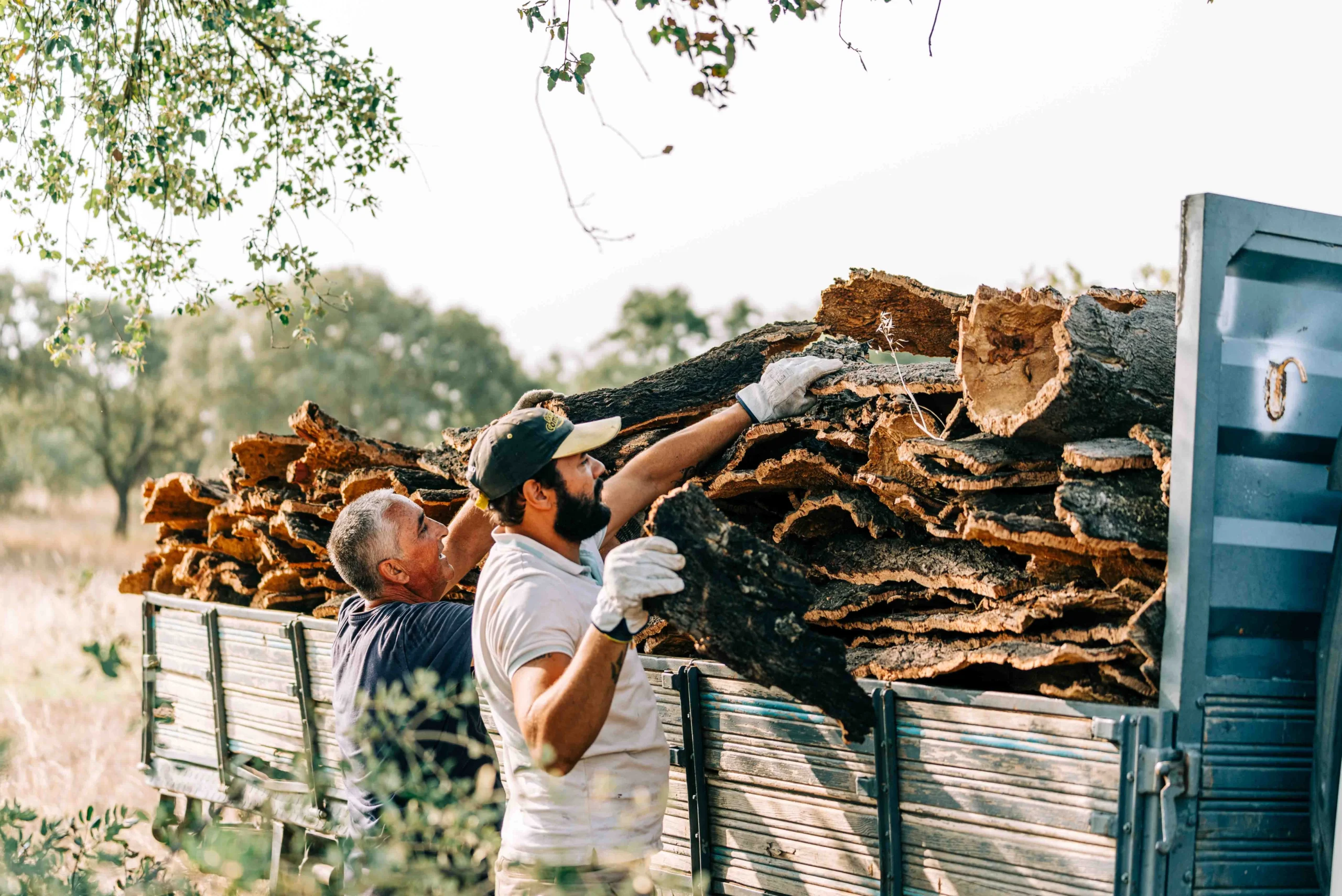 A cortiça do Alentejo já foi à NASA — e volta em 9 anos