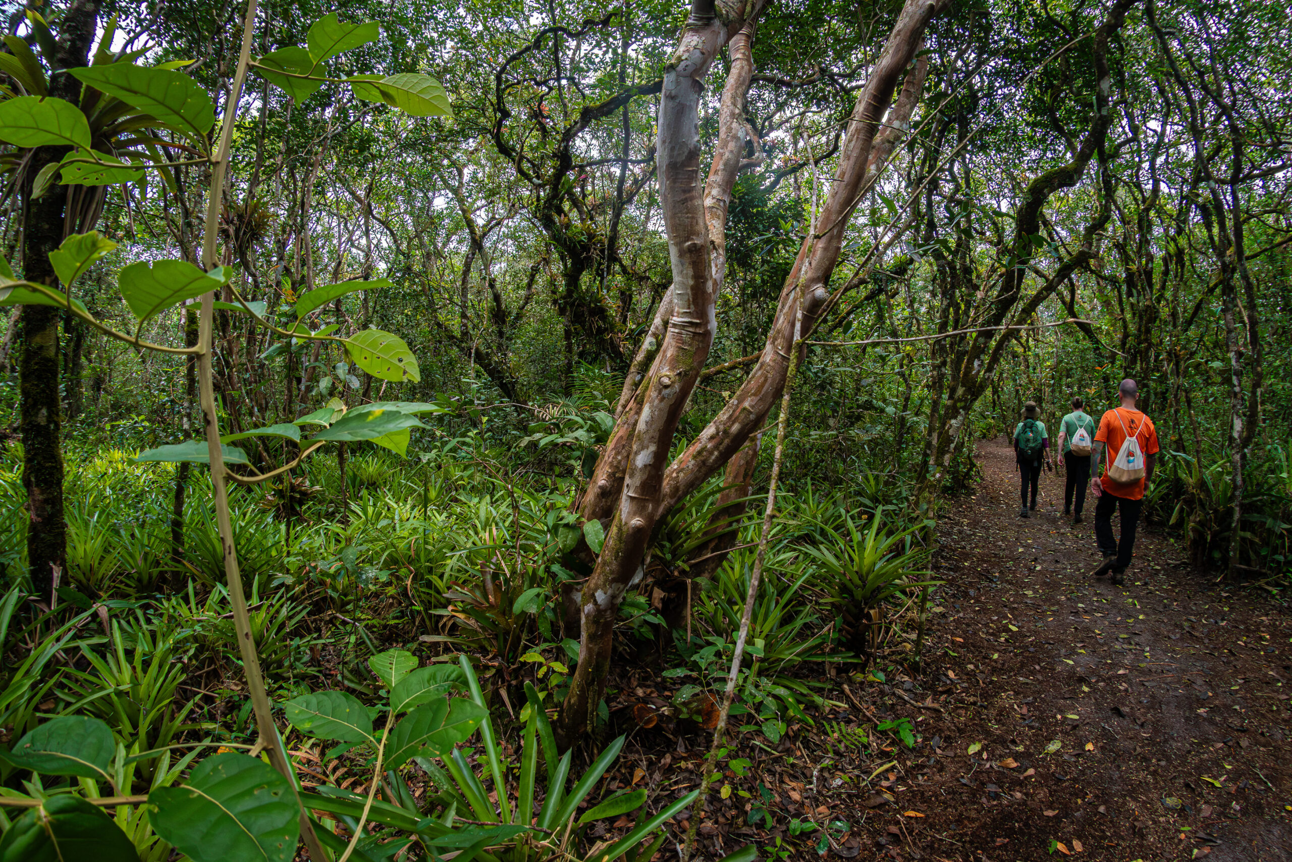 Superagui abre 1ª trilha para bike e caminhada