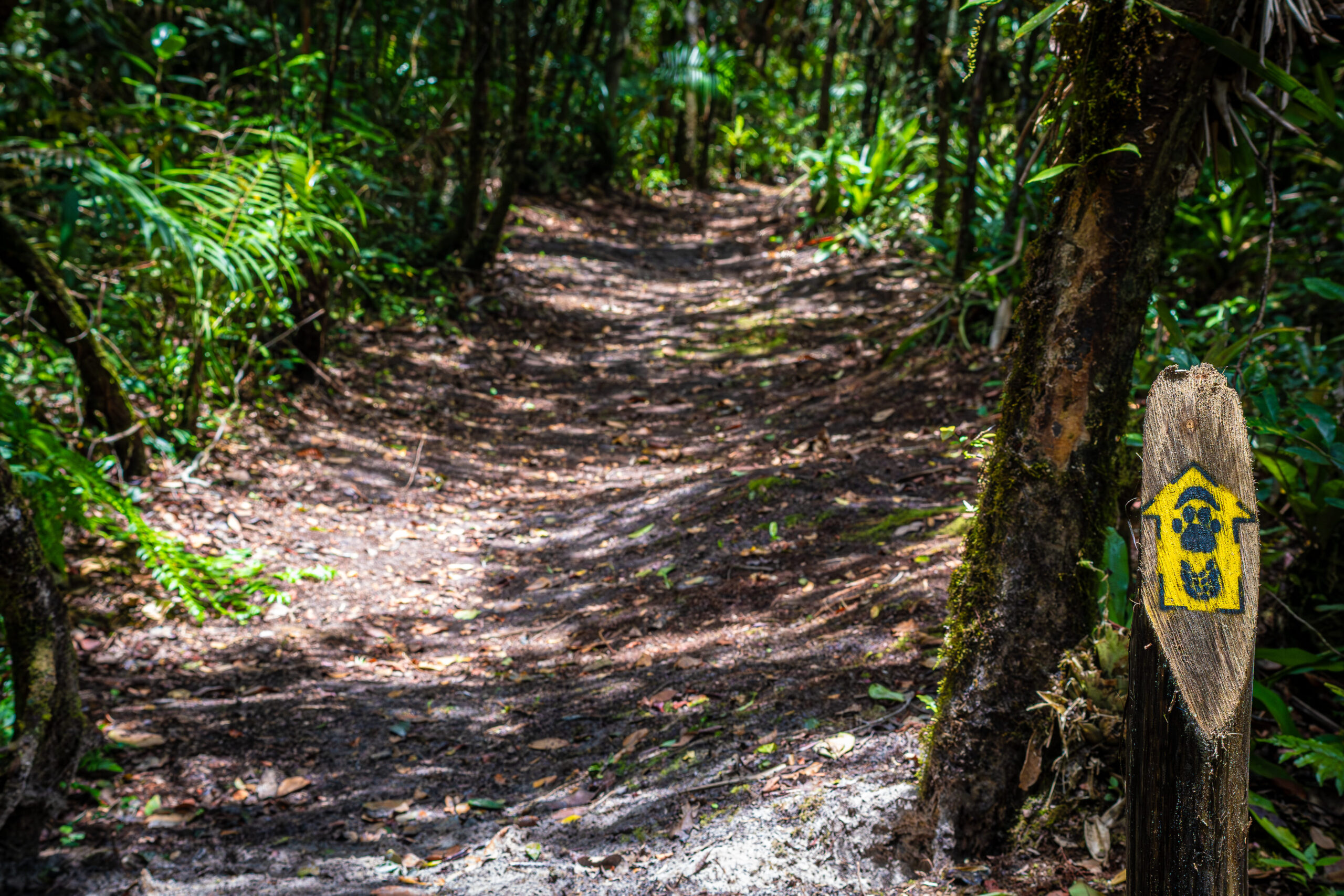 Superagui abre 1ª trilha para bike e caminhada