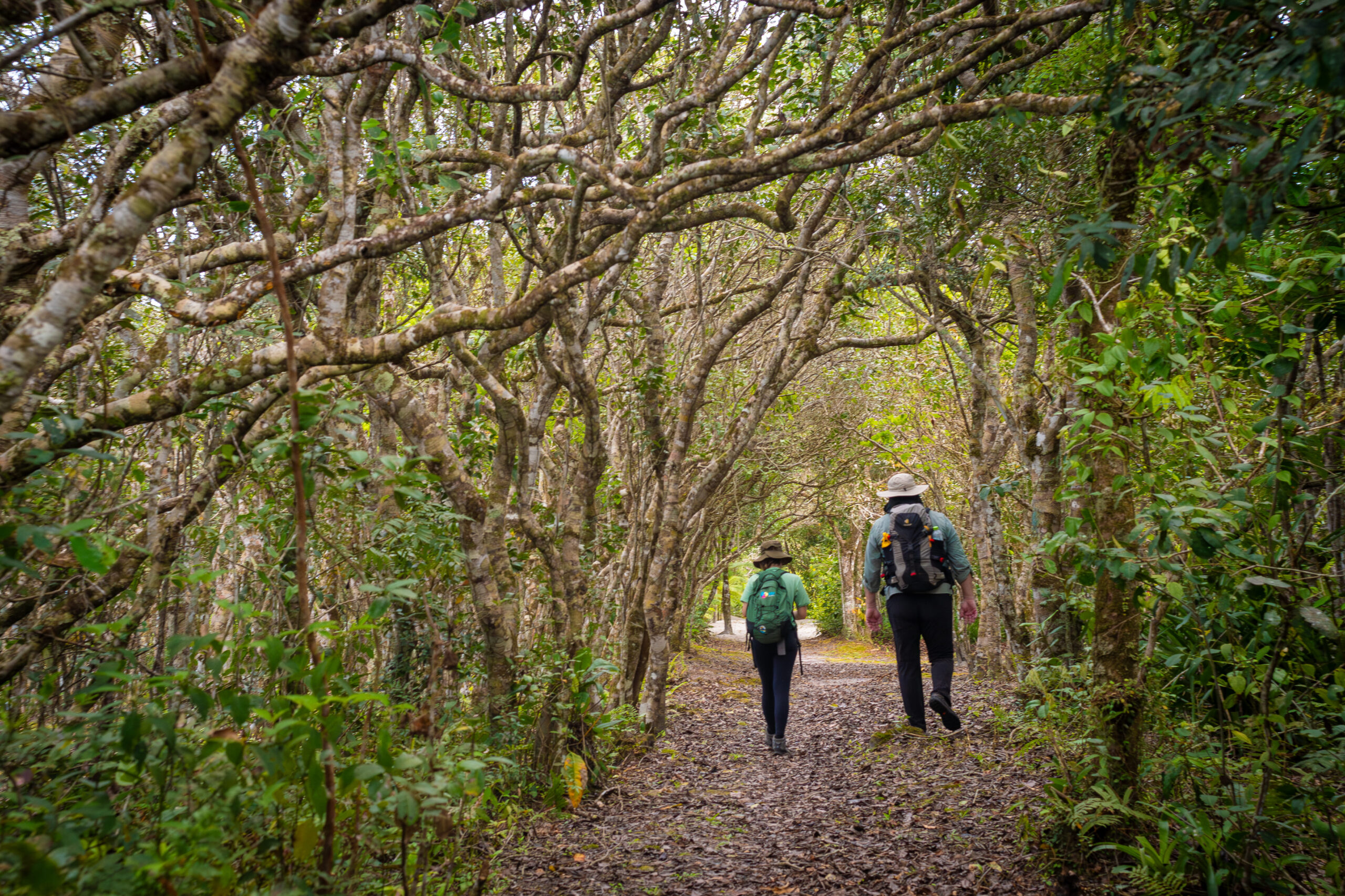 Superagui abre 1ª trilha para bike e caminhada
