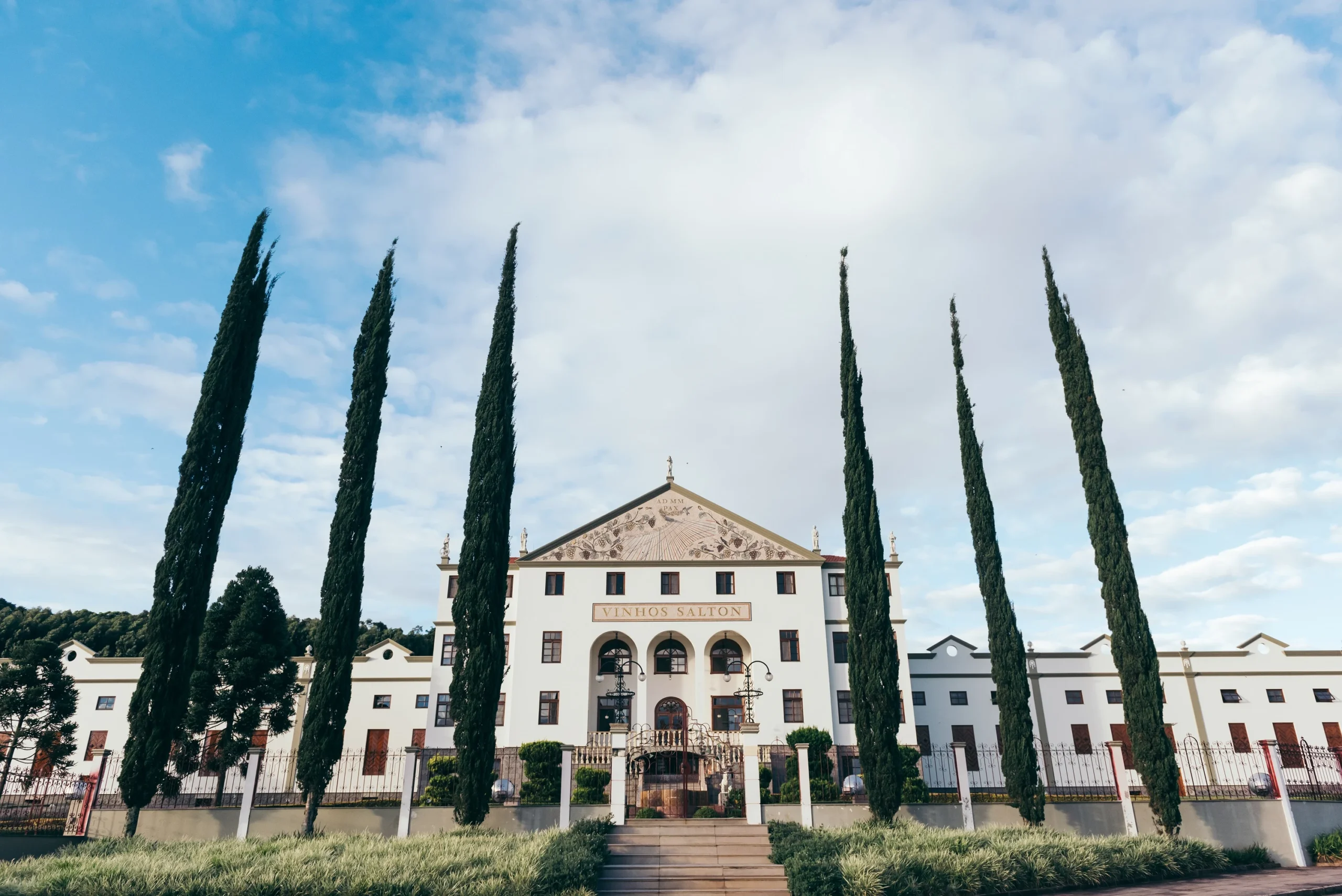 Vindima viva: uvas chegam à Salton