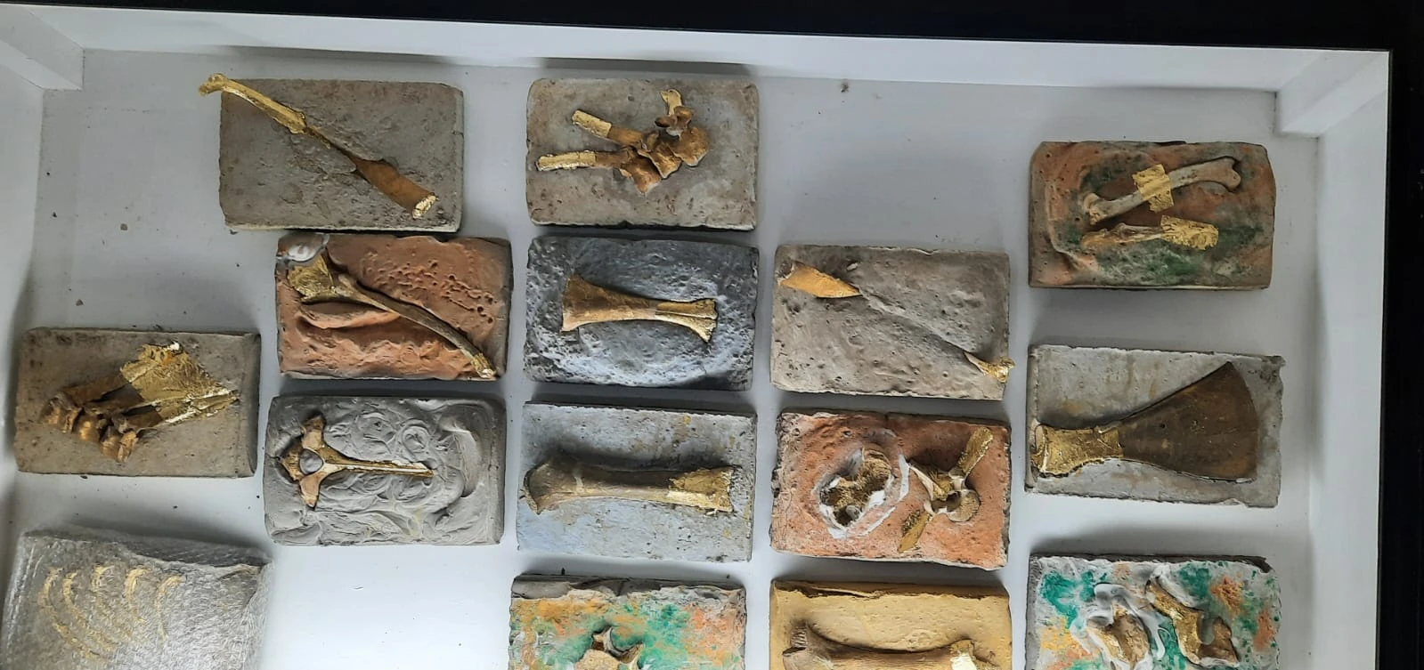 Nonatto Coelho reúne 42 anos de criação no MAG