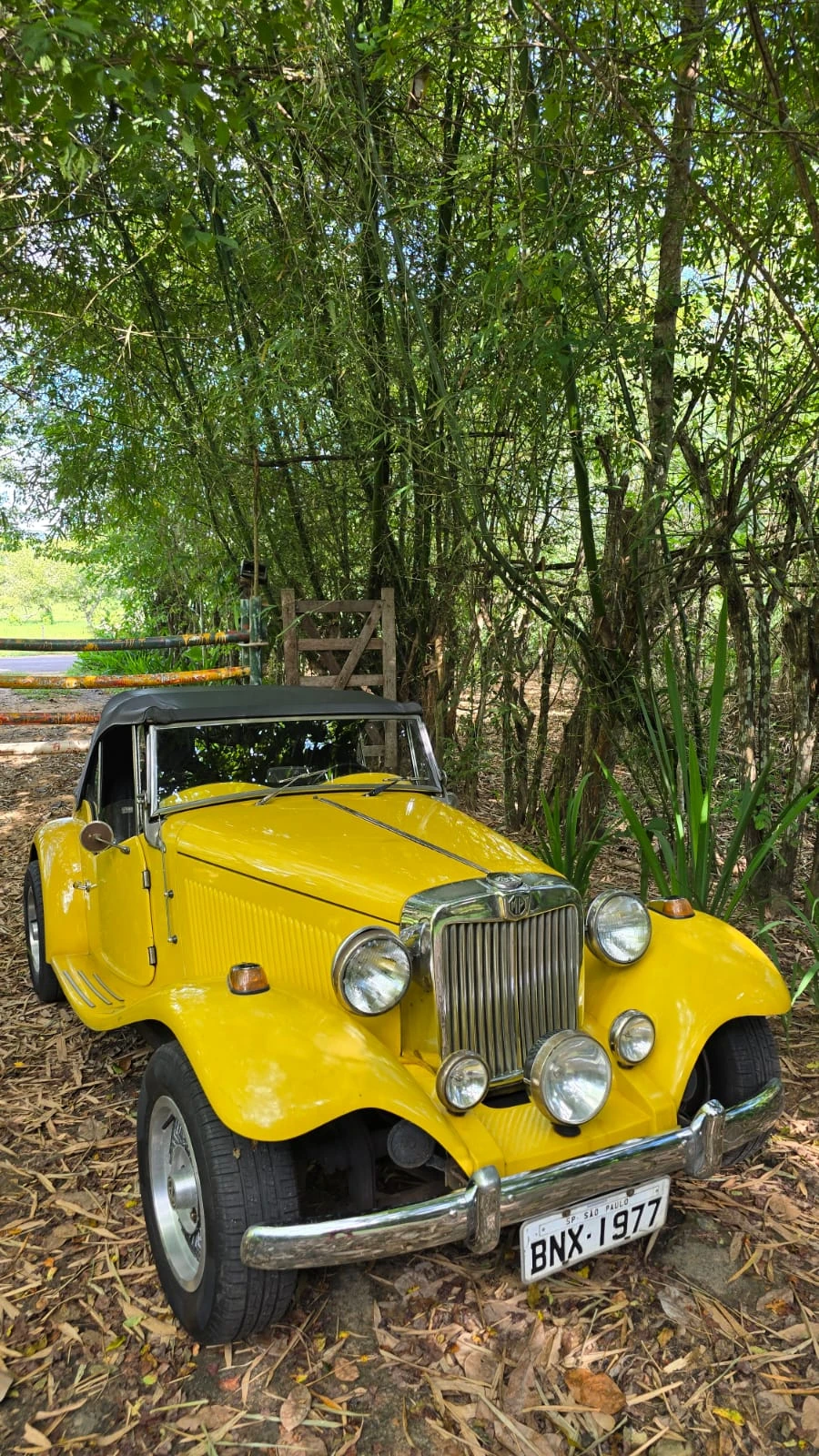 Santuário dos Orixás: art and axé in Bahia’s interior