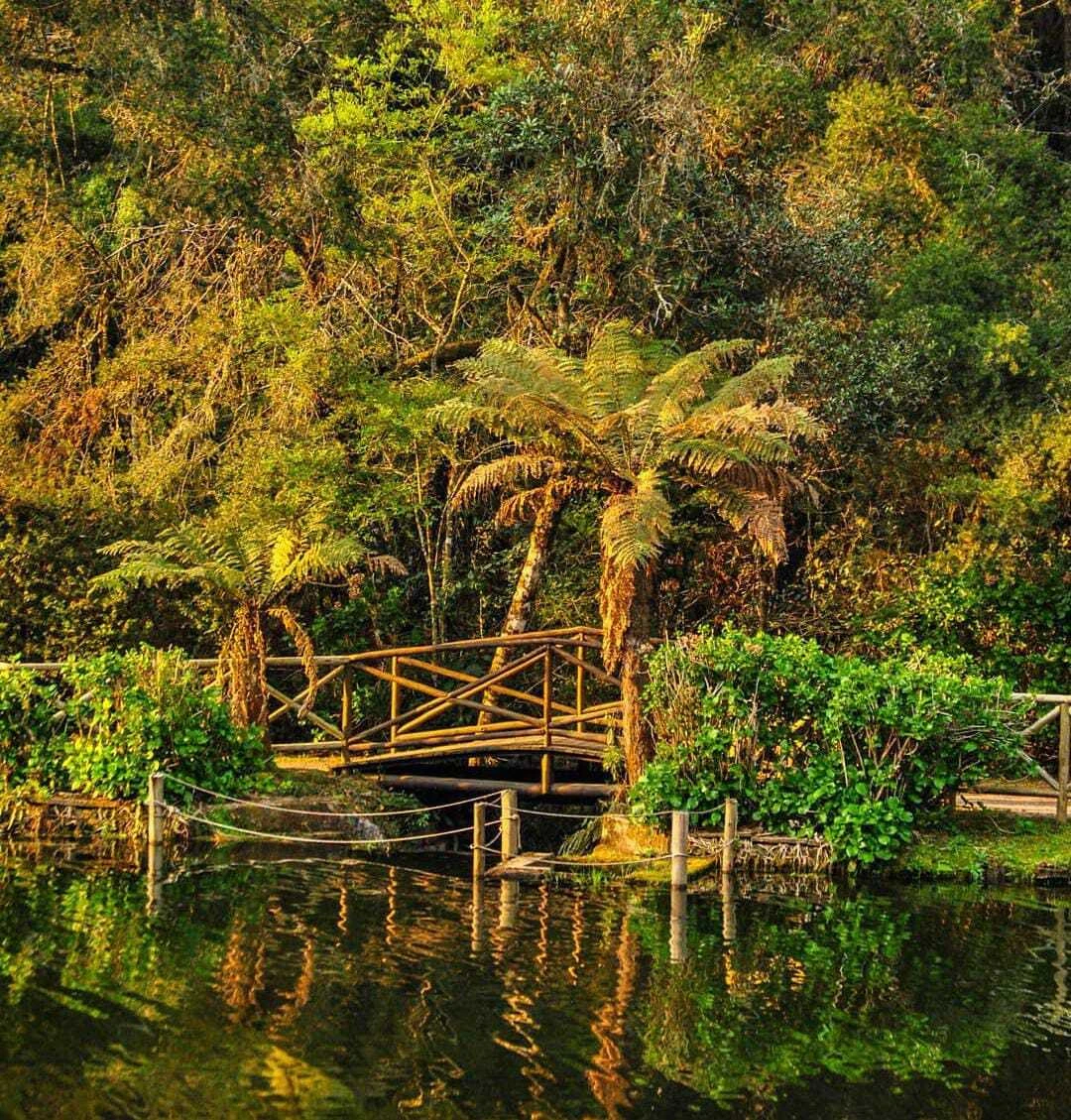 48h em Campos do Jordão: O Roteiro Perfeito!