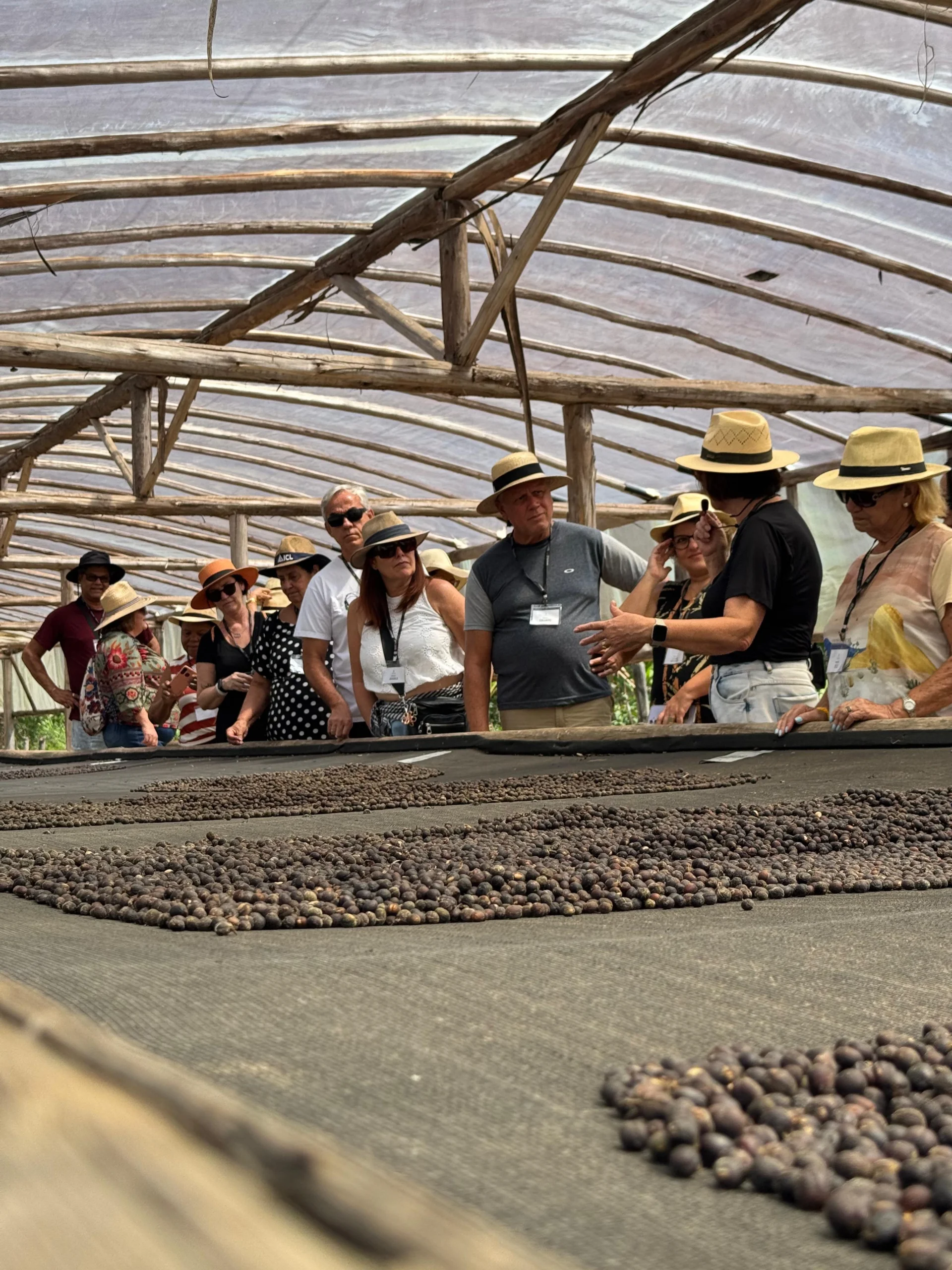 Café Centenário: Tour Imersivo na Serra do RJ