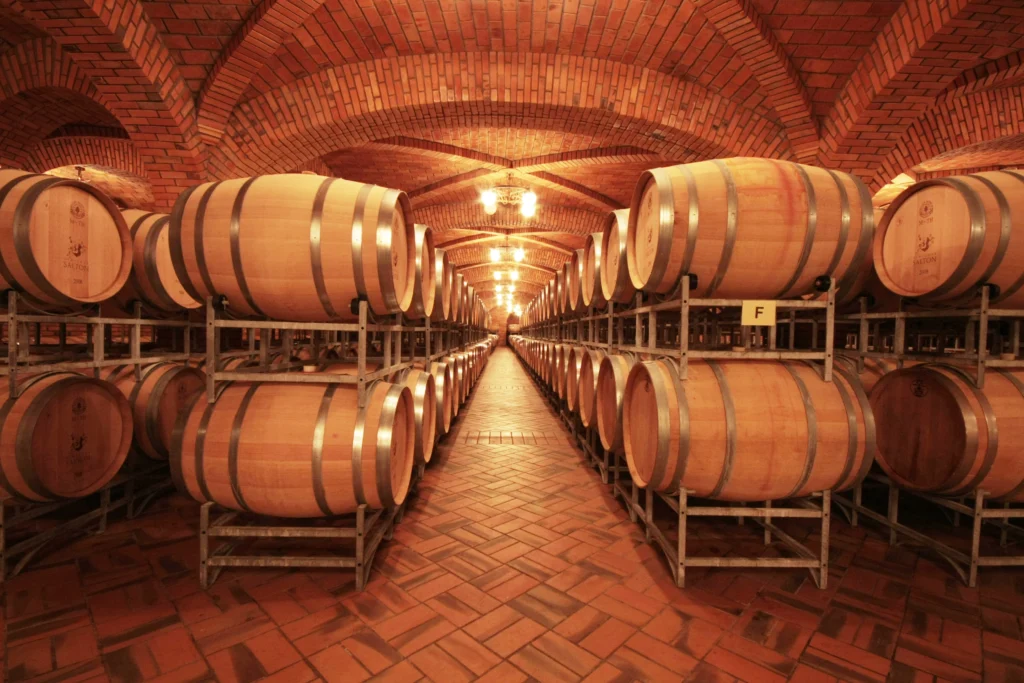 Vindima viva: uvas chegam à Salton