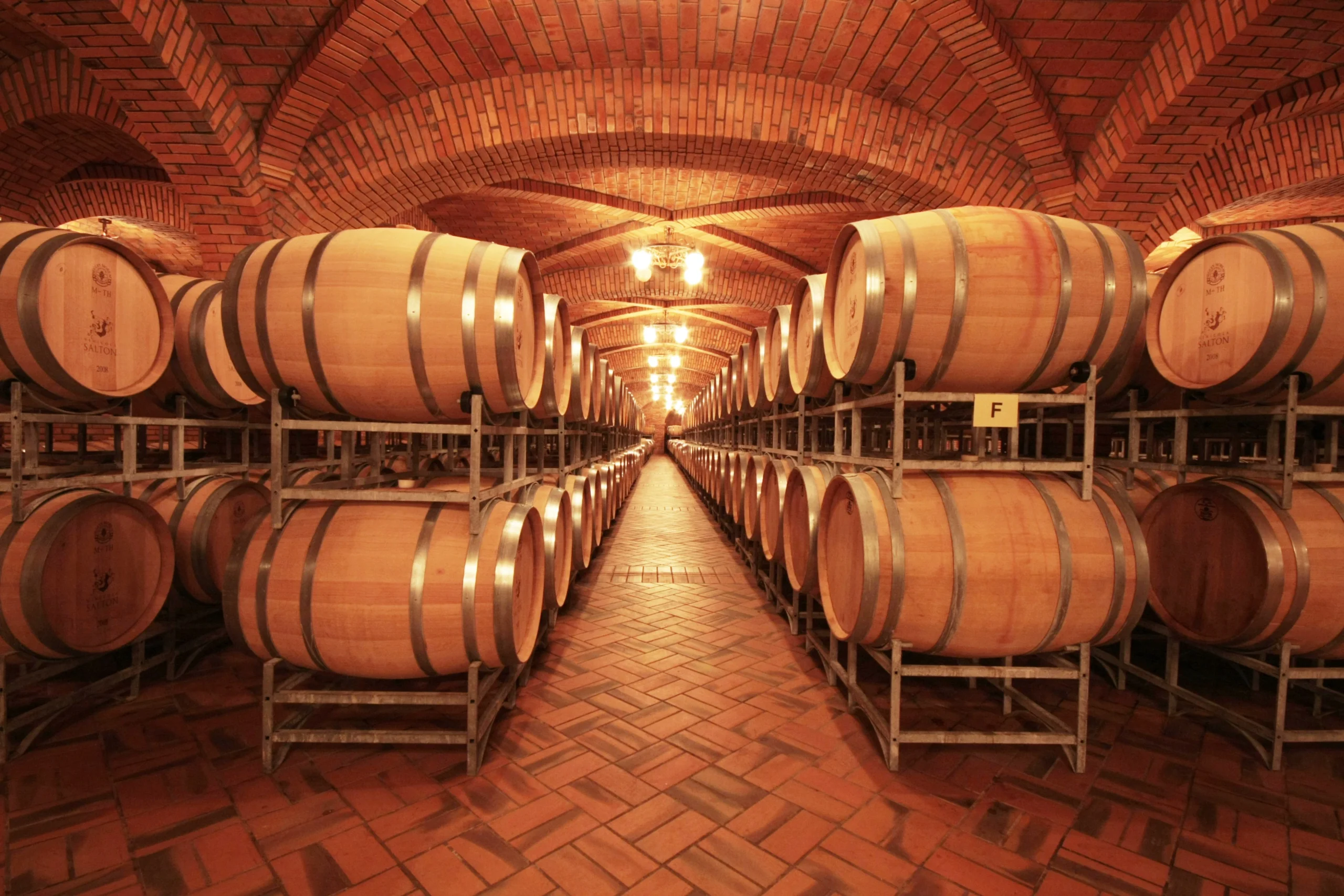 Vindima viva: uvas chegam à Salton