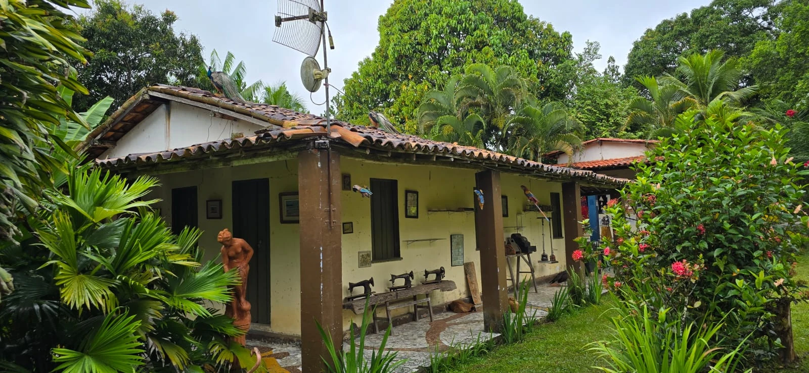Santuário dos Orixás: art and axé in Bahia’s interior