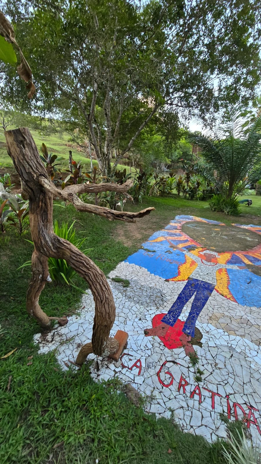 Santuário dos Orixás: art and axé in Bahia’s interior