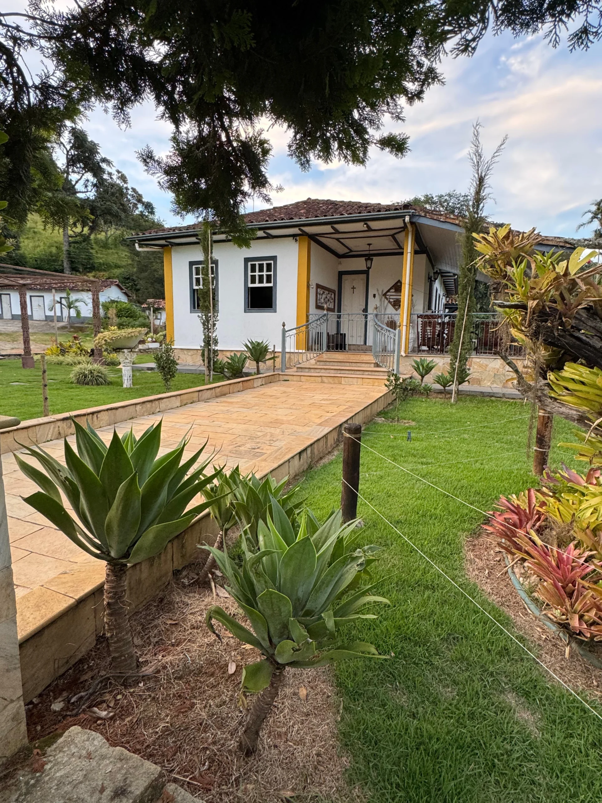 Café Centenário: Tour Imersivo na Serra do RJ