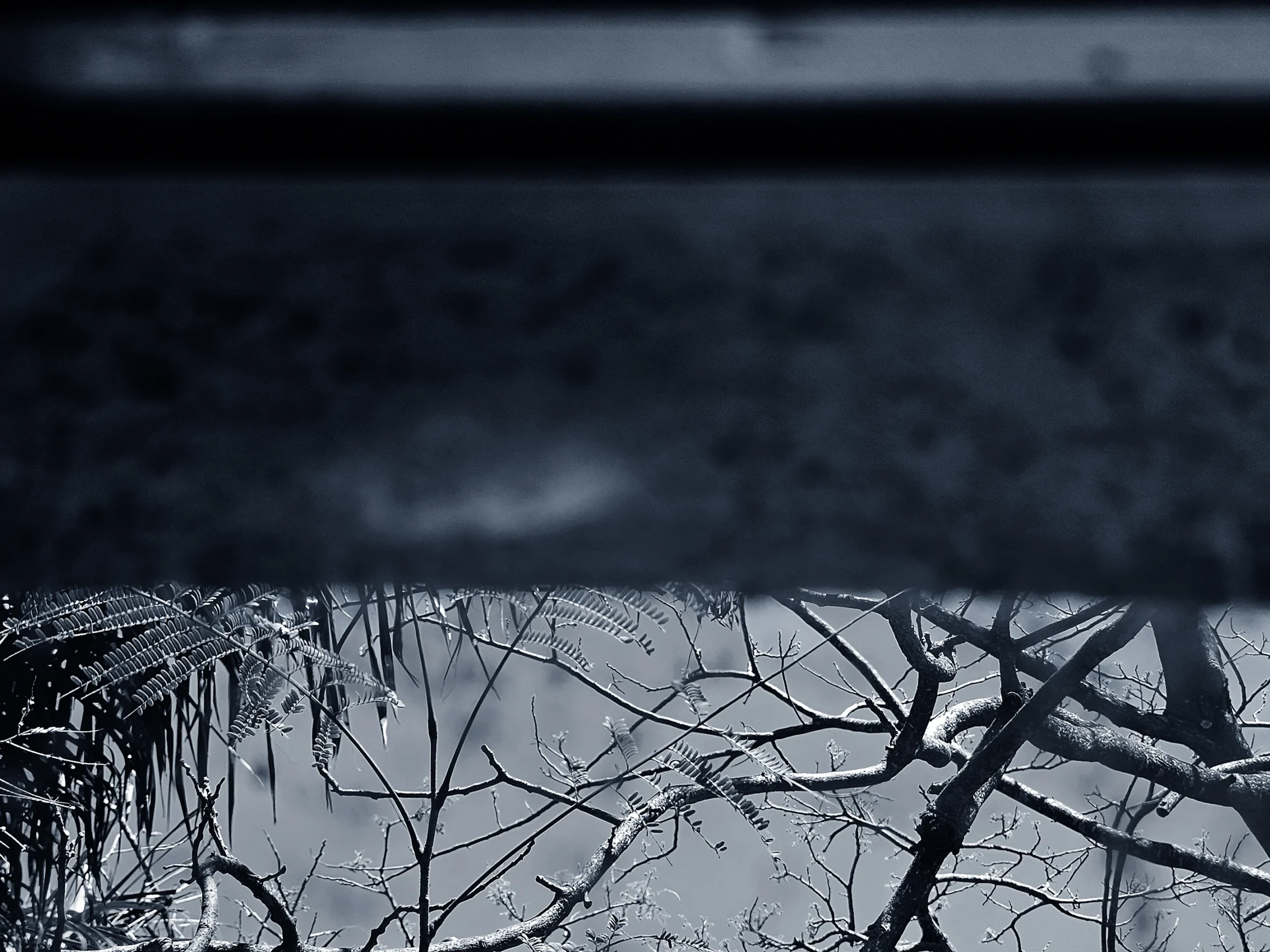 Tessituras do Adeus tece vida e morte