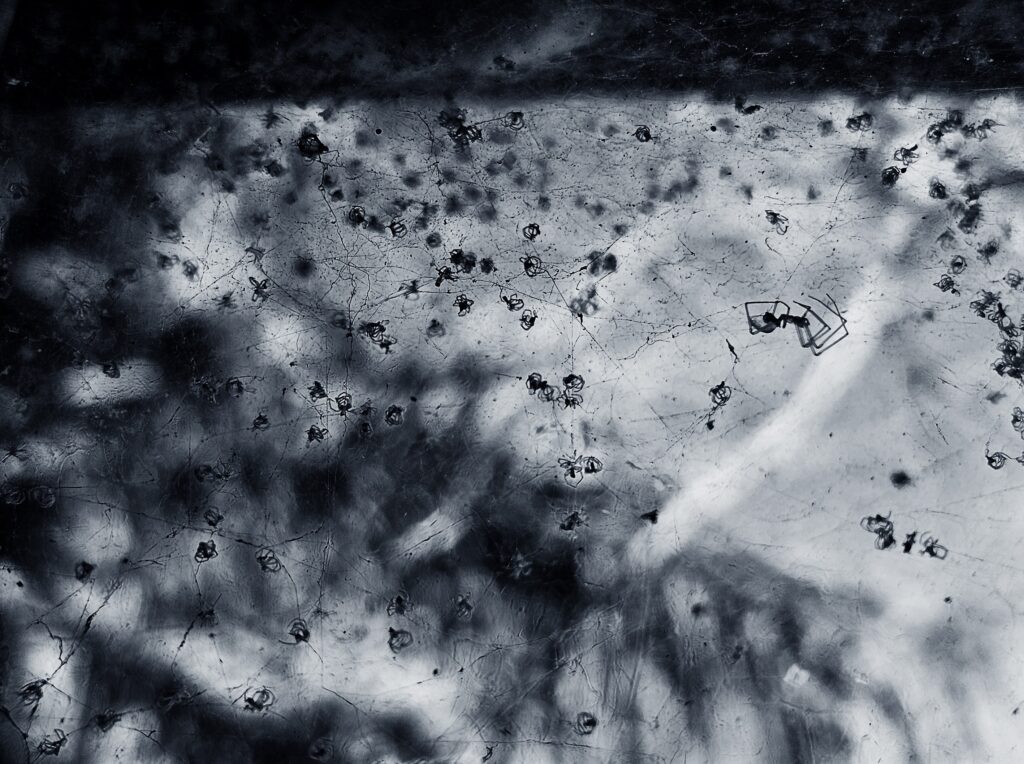 ‘Tessituras do Adeus’ indaga vida y muerte