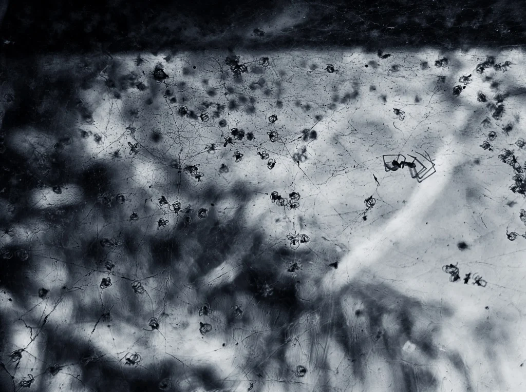 Tessituras do Adeus tece vida e morte