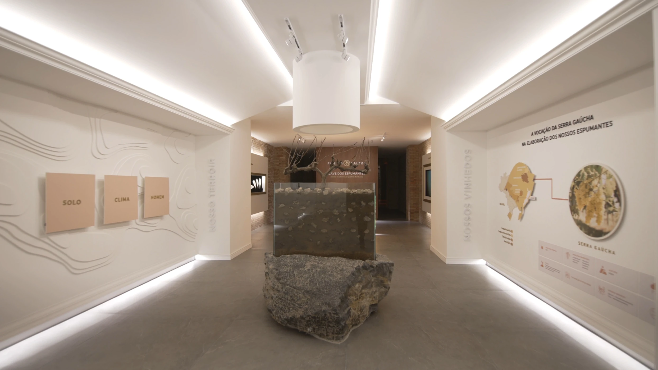 Vindima viva: uvas chegam à Salton