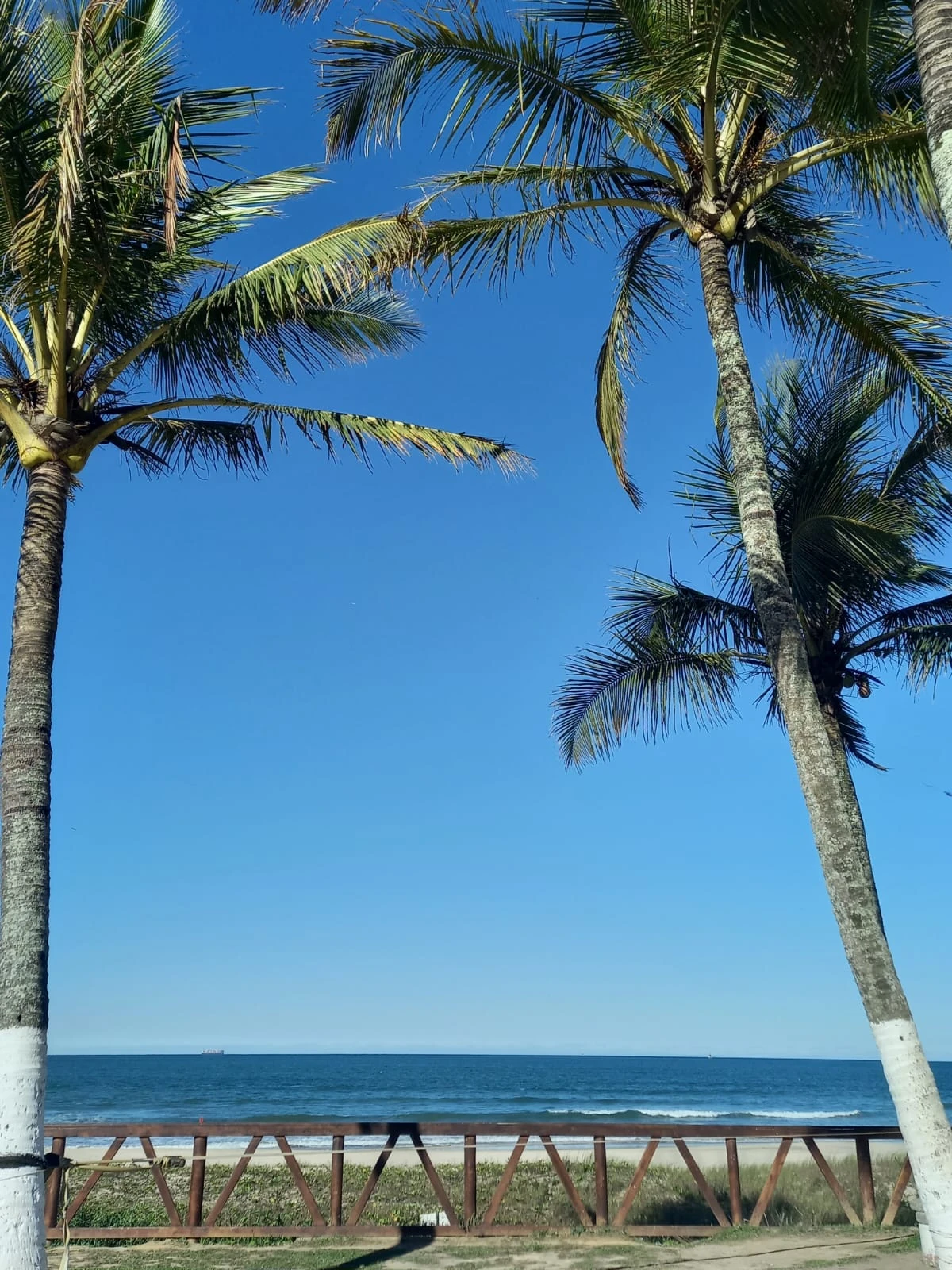 Navegantes: playas y naturaleza a minutos del aeropuerto