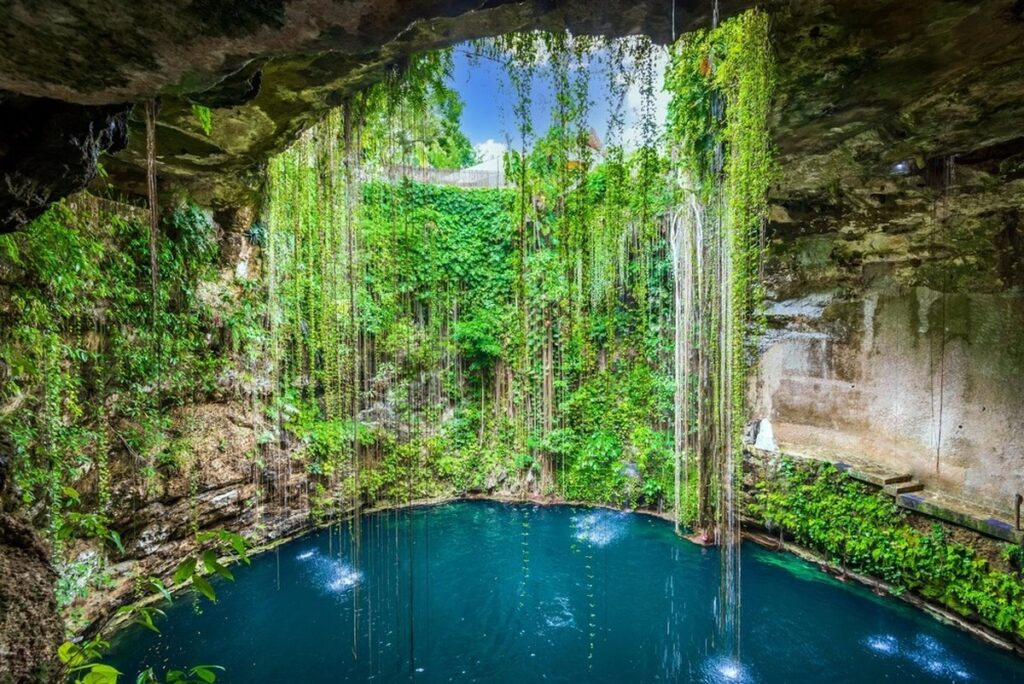 Riviera Maya Cenotes: Mexico’s Natural Sanctuaries