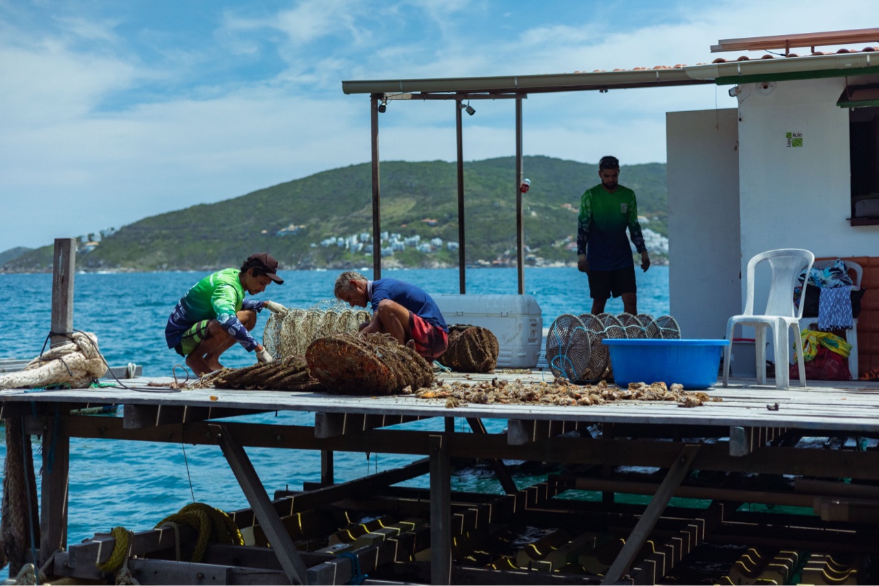 Oyster Path: From Sea to Sustainable Table