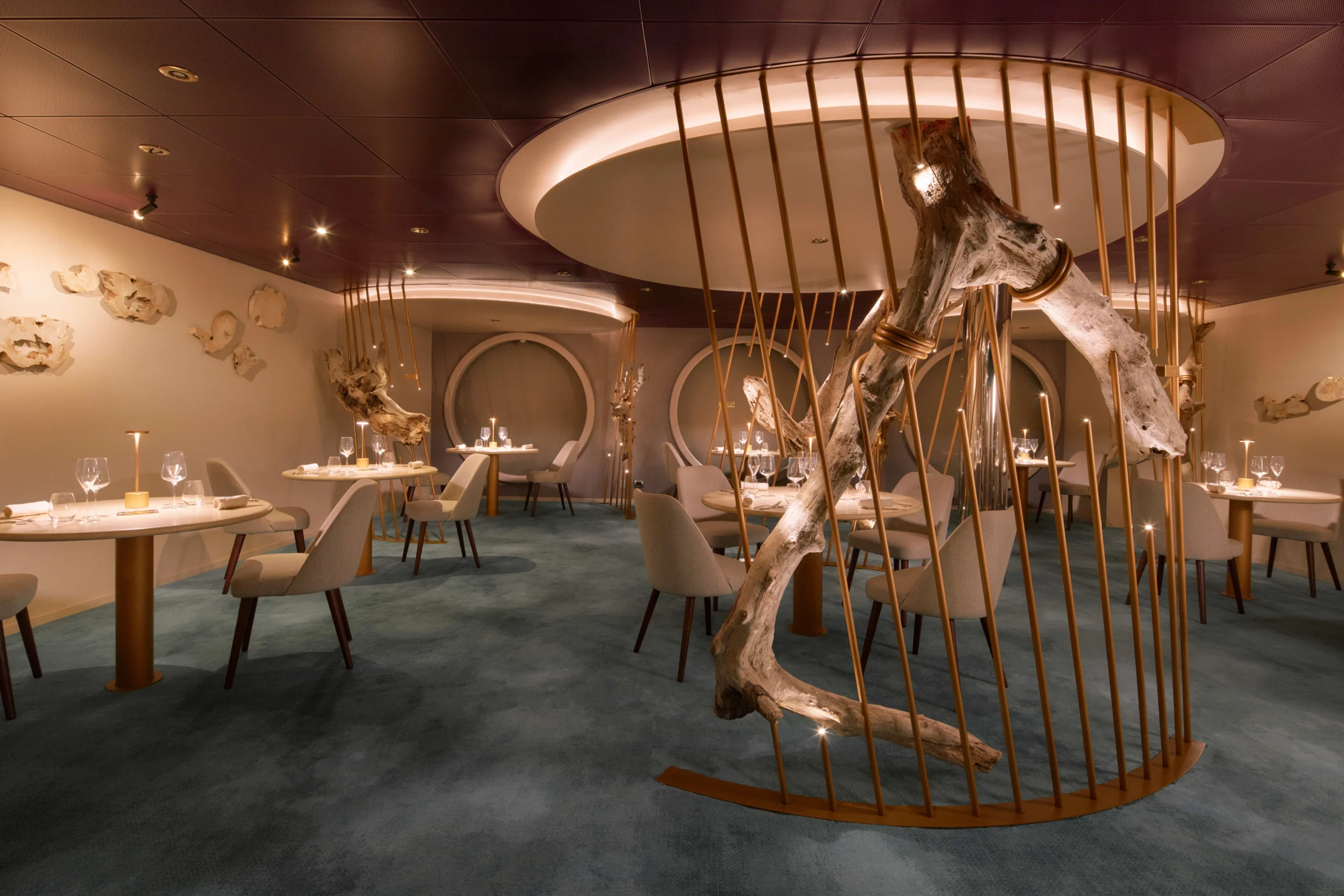 Patagônia Épica no Costa Serena: Geleiras e Pinguins!