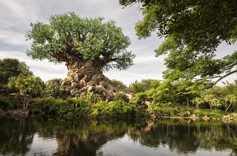 Disney estende oferta exclusiva de ingresso mágico para a América Latina 2 Disney estende oferta exclusiva de ingresso mágico para a América Latina