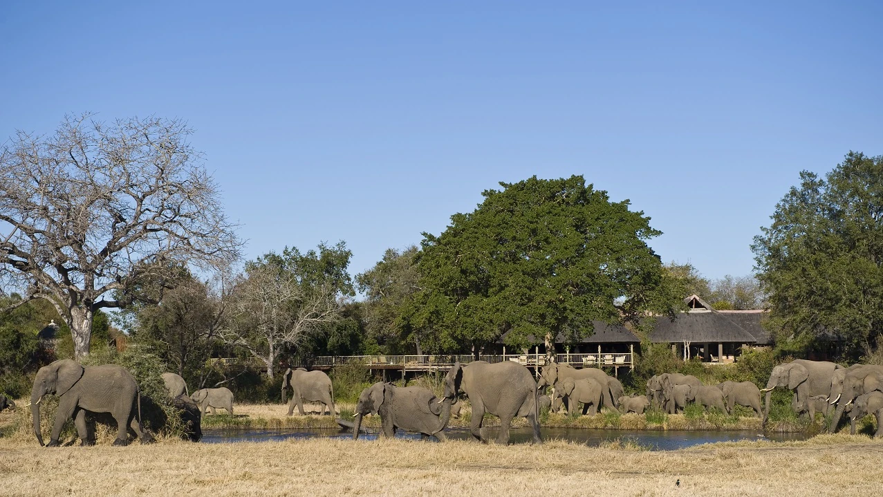 Sabi Sabi aposta em educação e água para fortalecer comunidades