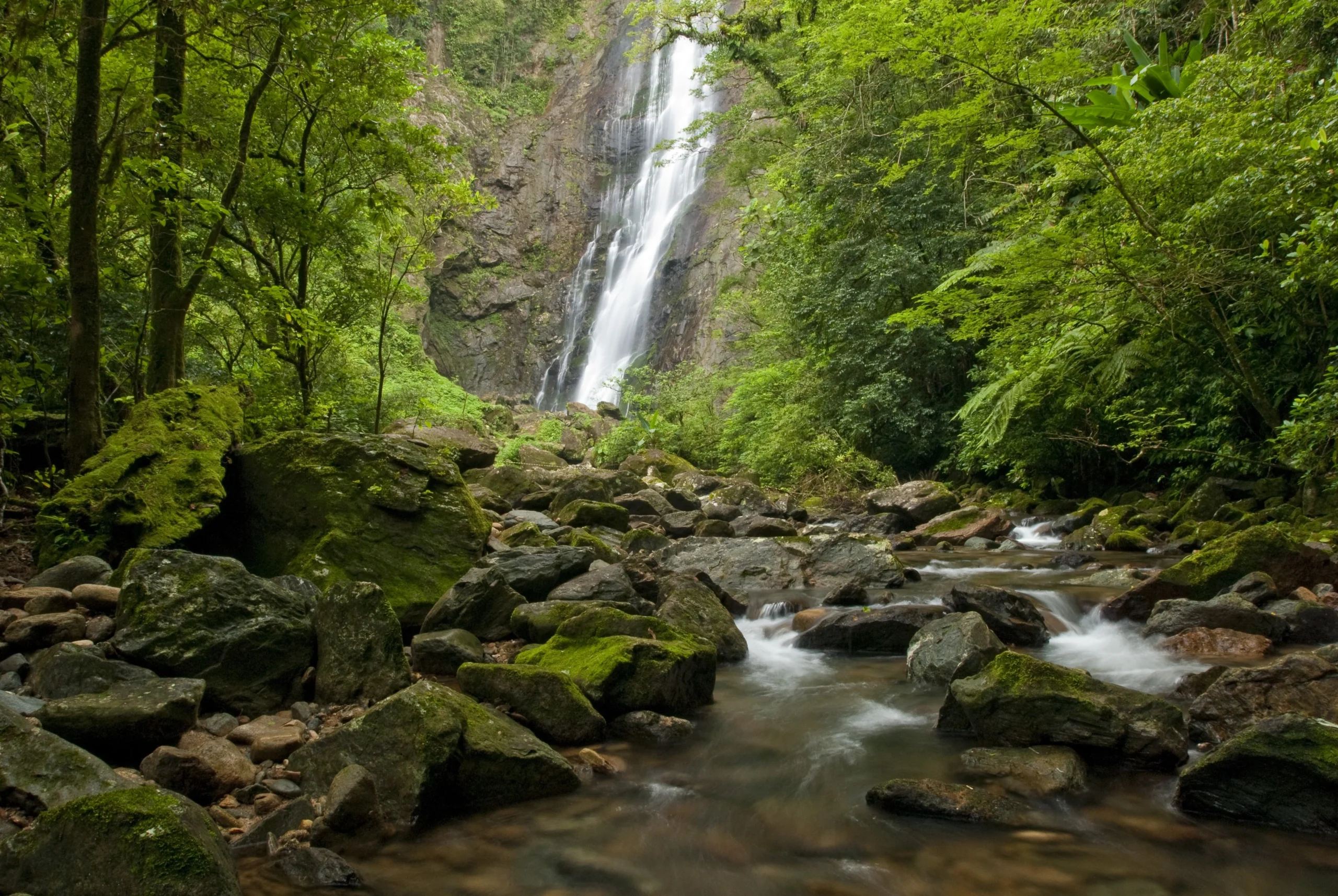 Sete destinos no Brasil para curtir o Carnaval na natureza