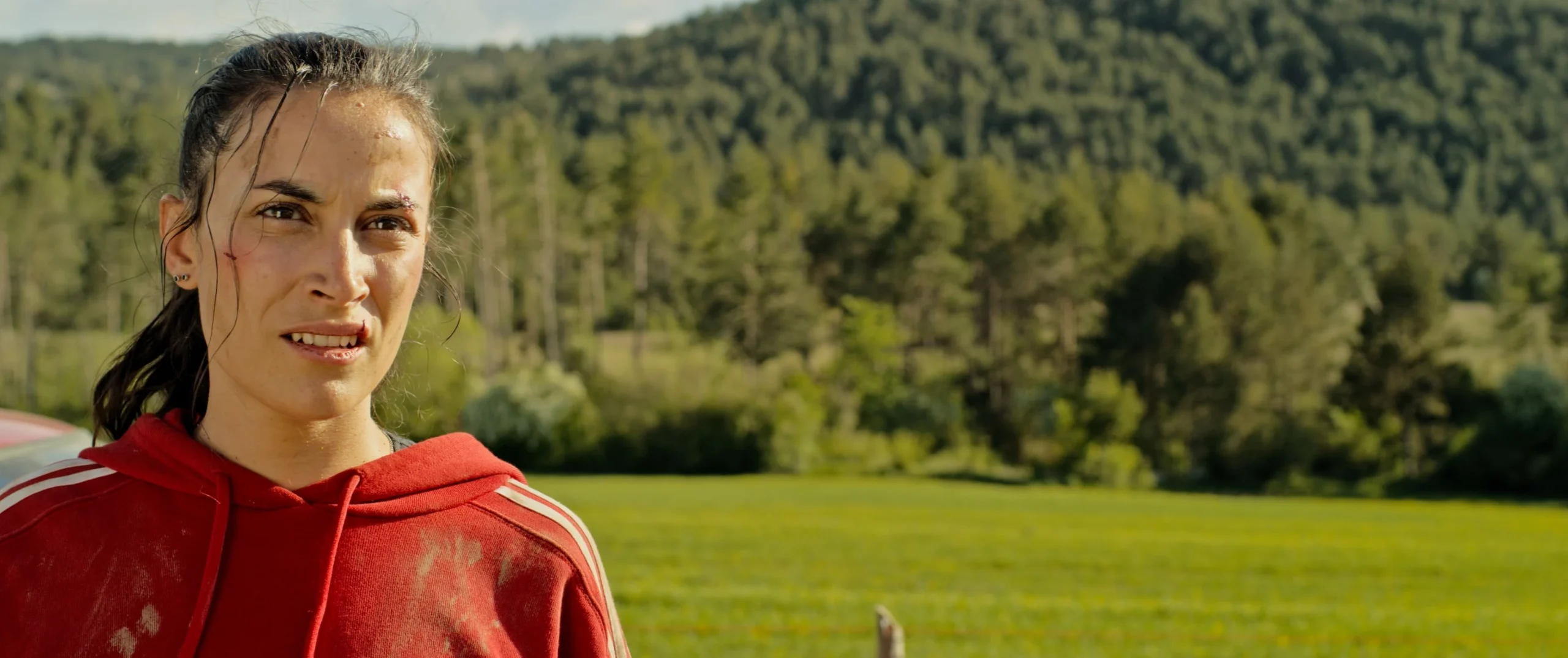 Estreias Looke: suspense, biografia de guerra e animação no Ártico